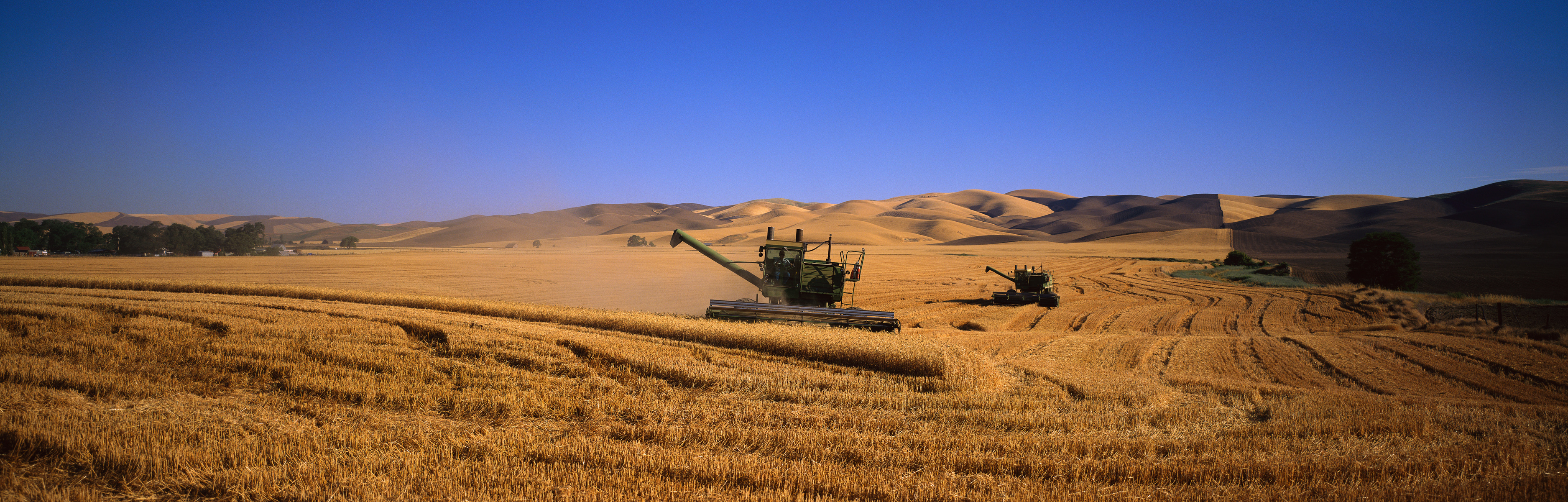 fields, combine harvester, farming, agriculture, multiscreen - desktop wallpaper