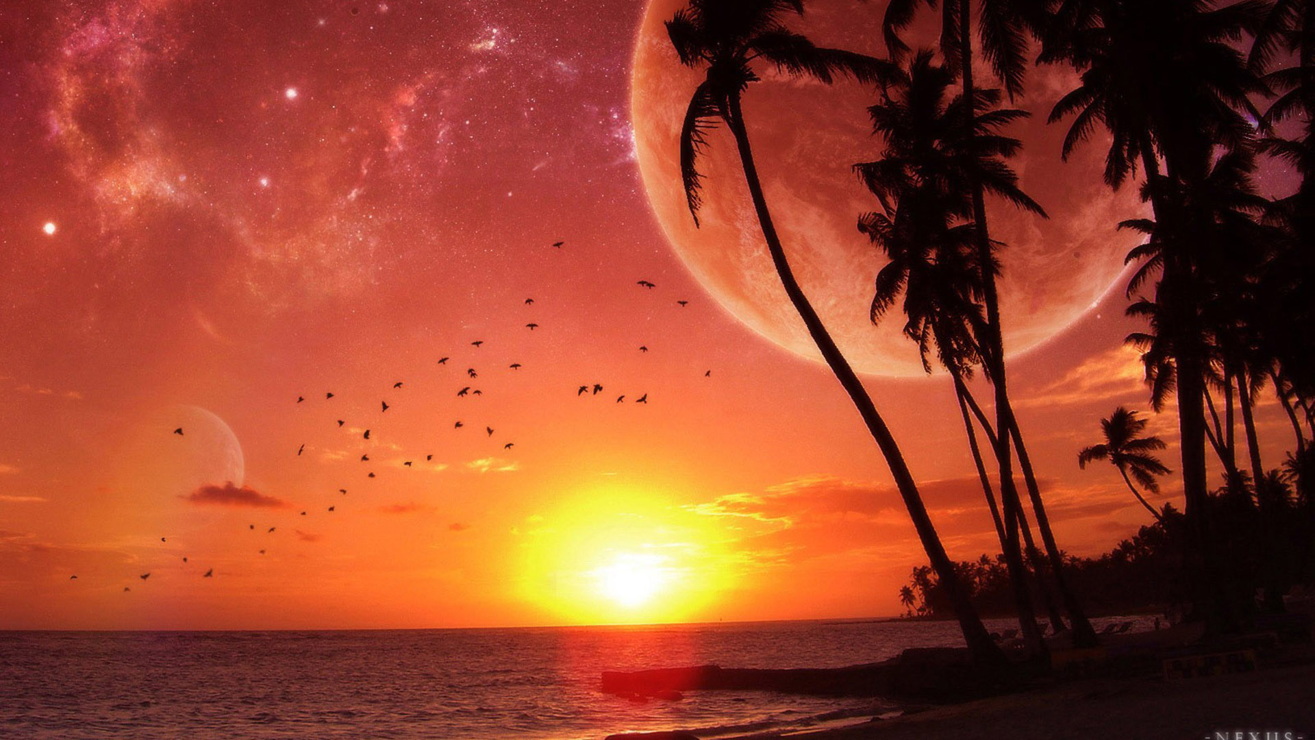sunset, ocean, Moon, palm trees, beaches - desktop wallpaper