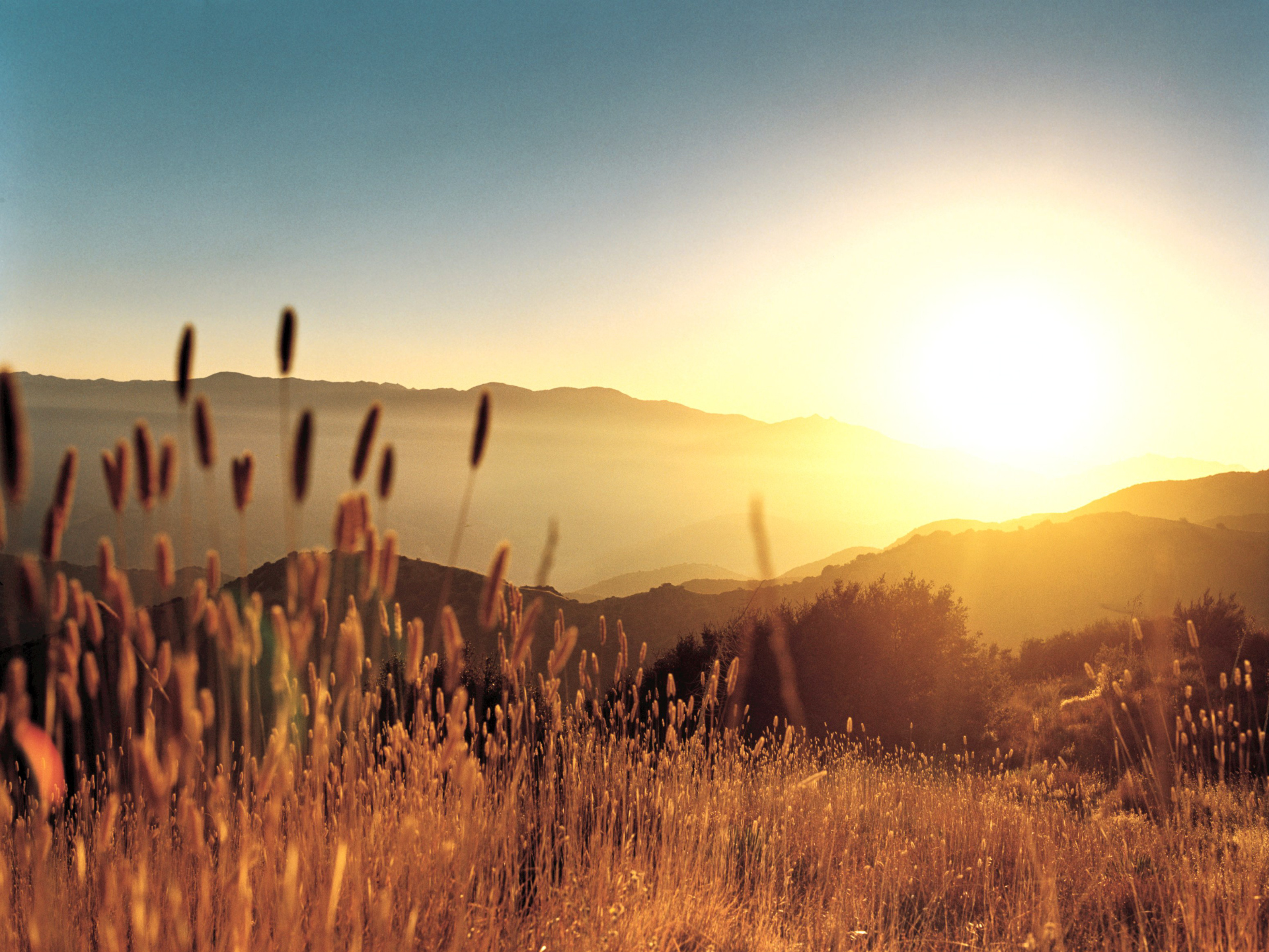 sunrise, landscapes, Sun, hills, wheat, spikelets - desktop wallpaper