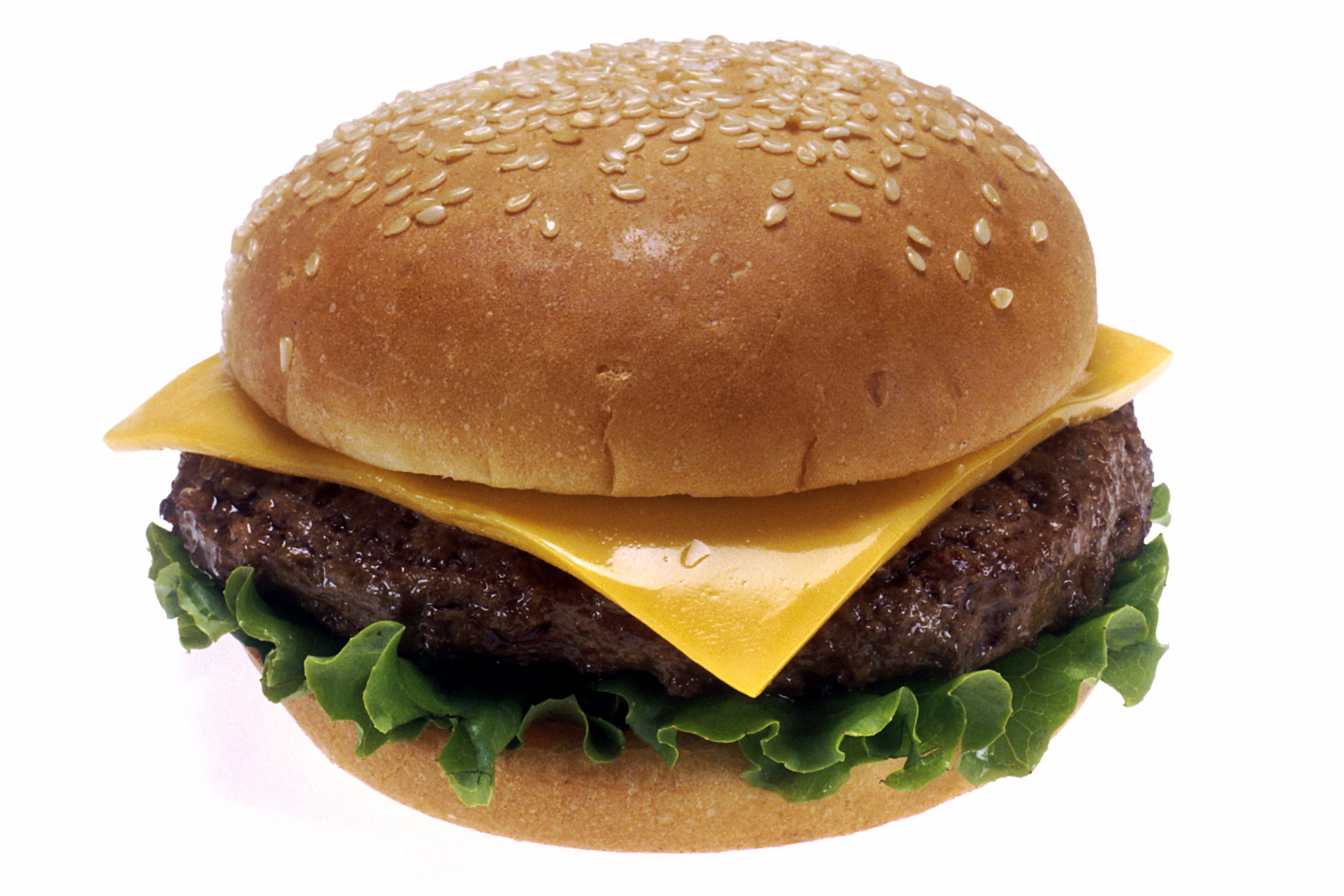 food, cheese, hamburgers, cheeseburgers - desktop wallpaper