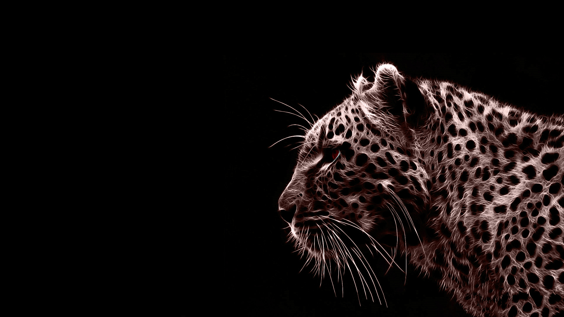animals, jaguars, photo manipulation, black background - desktop wallpaper