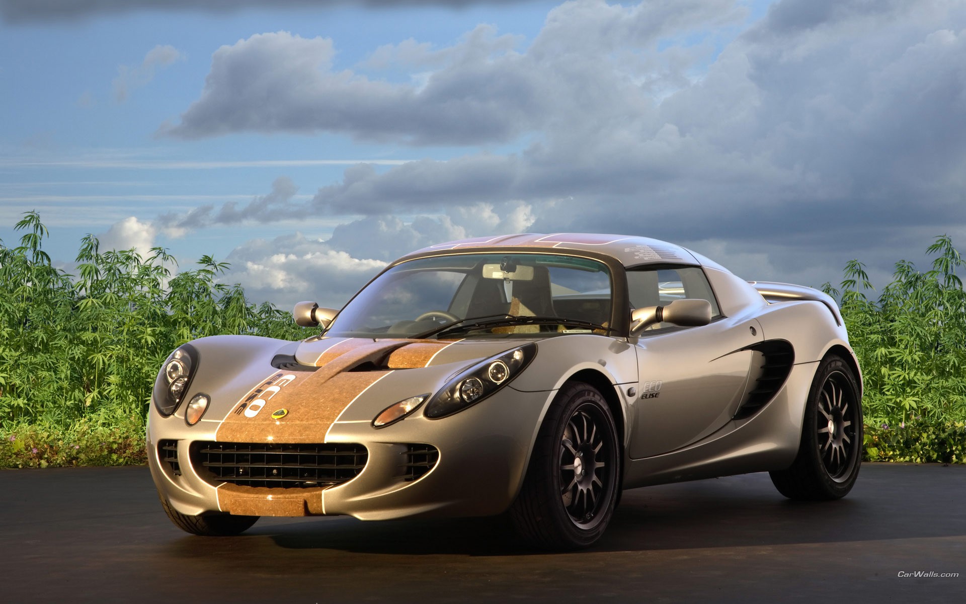 cars, Lotus Elise, automotive, Lotus - desktop wallpaper