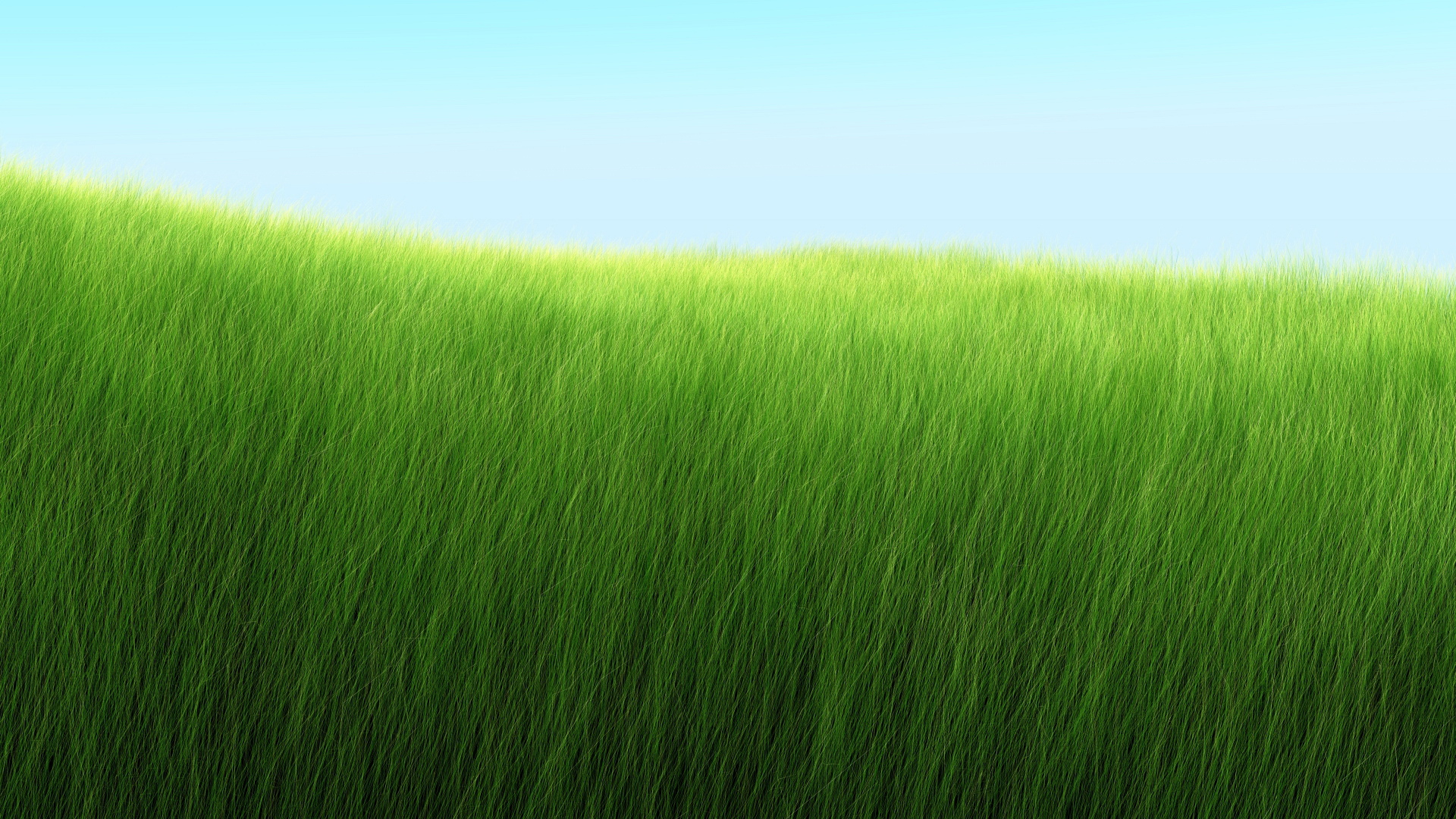 nature, grass, fields, Grassland - desktop wallpaper