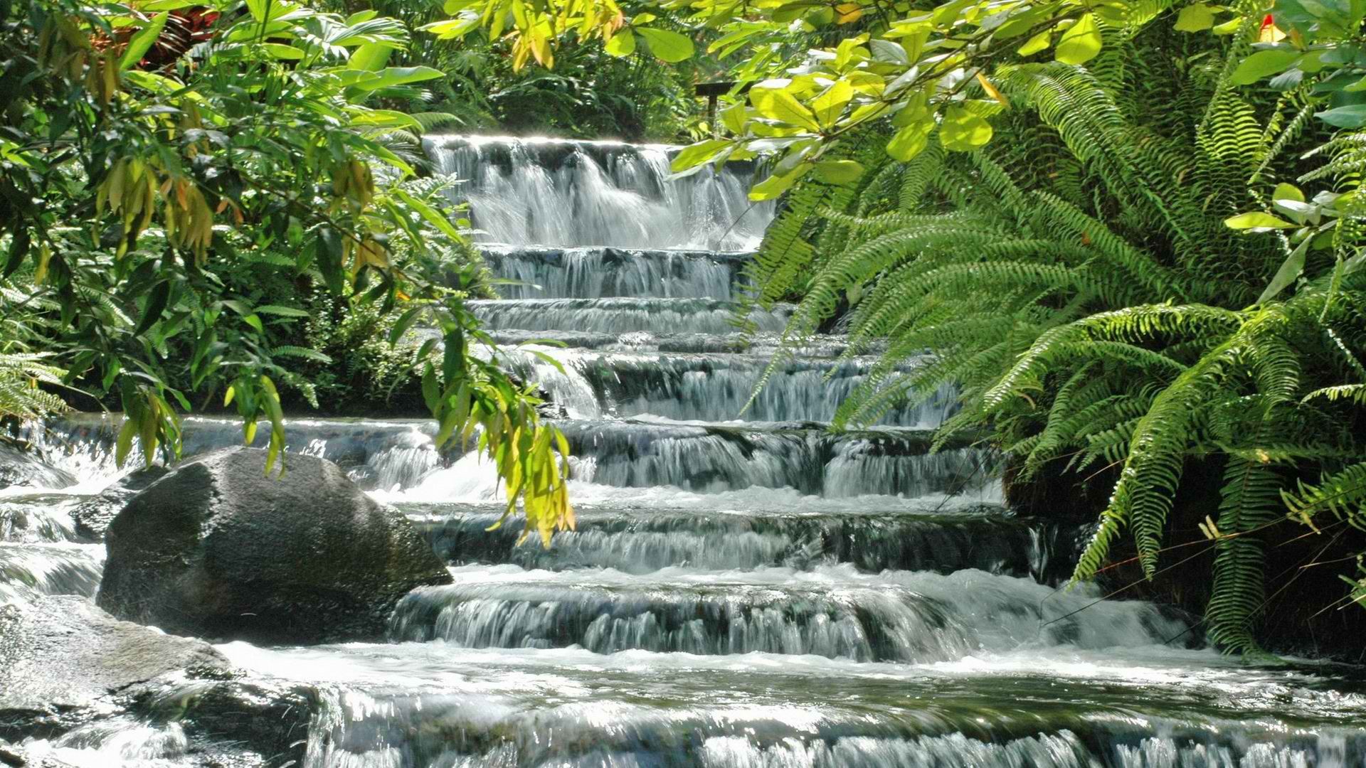 Costa Rica, hot springs, National Park - desktop wallpaper