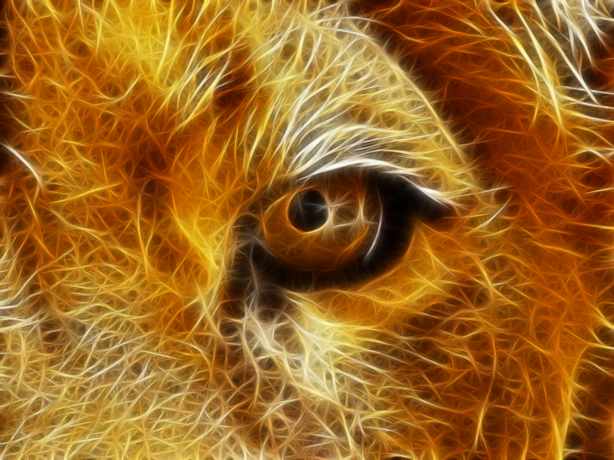 Fractalius, lions - desktop wallpaper