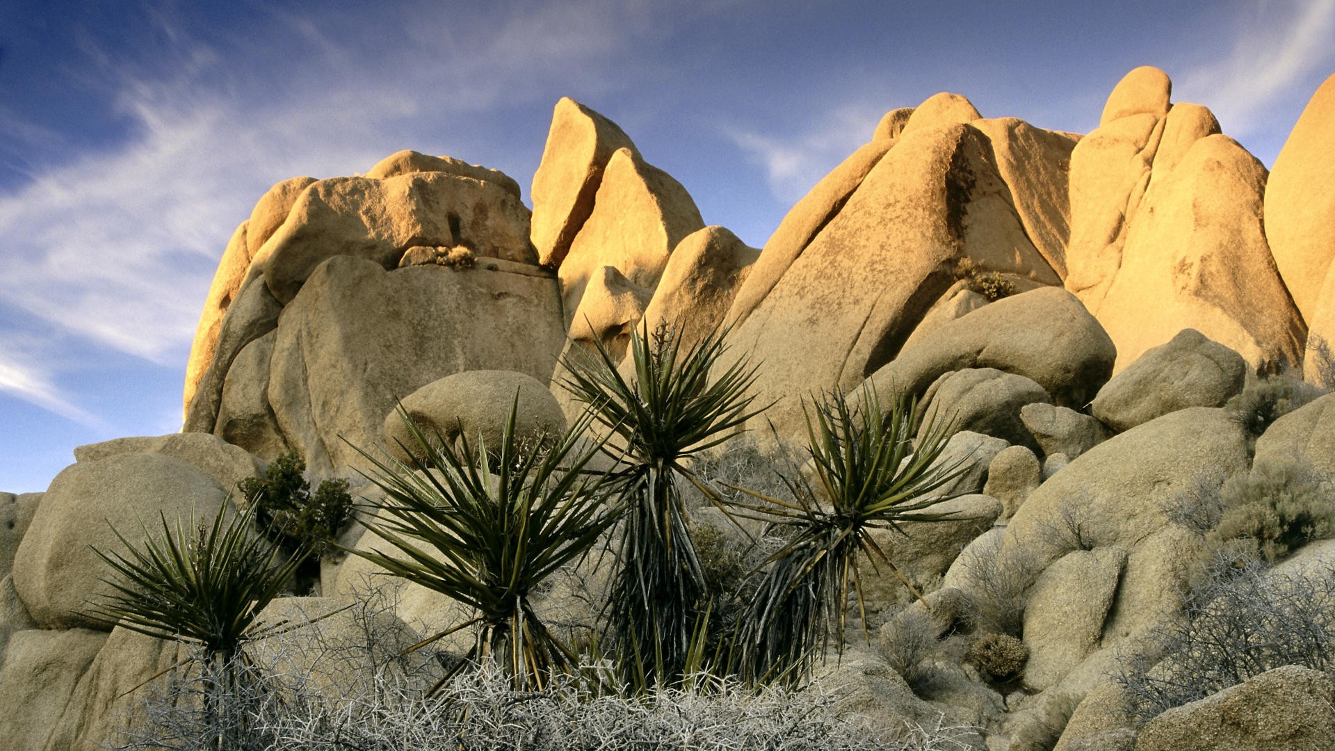 rocks, California, National Park, Joshua Tree National Park - desktop wallpaper