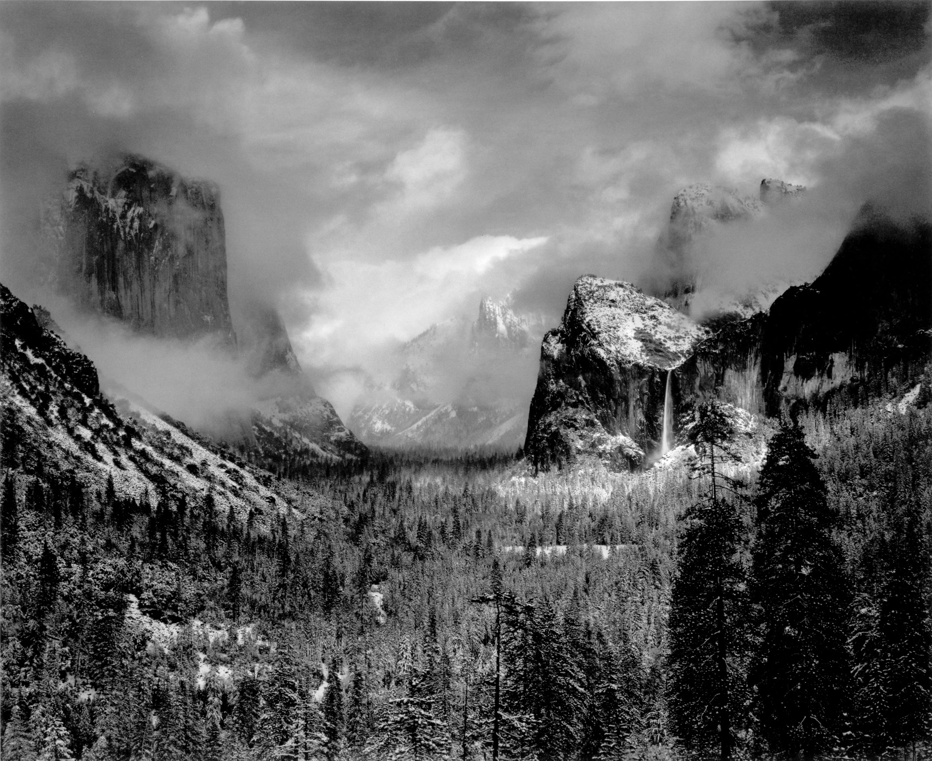 mountains, trees, grayscale - desktop wallpaper