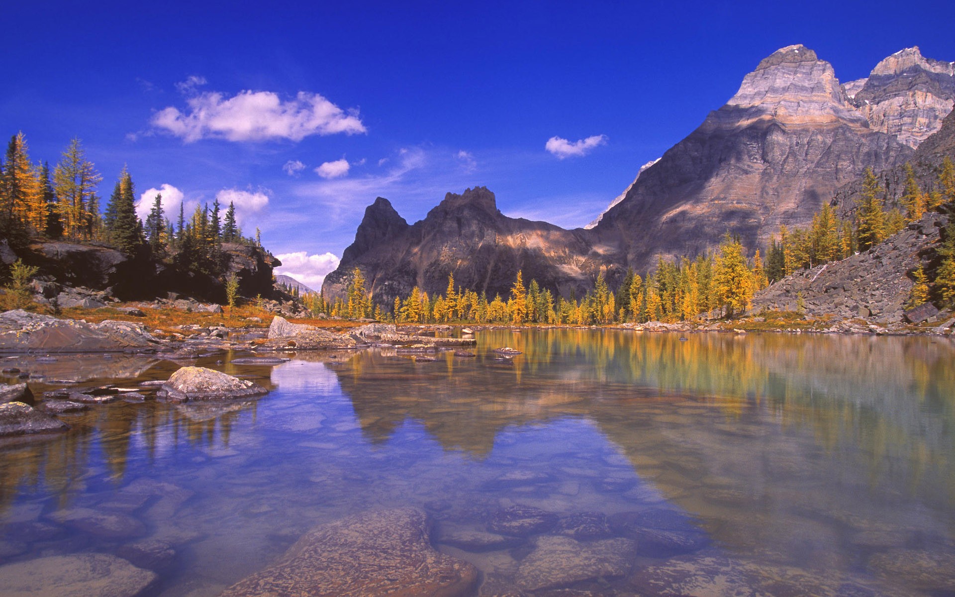 landscapes, nature, autumn - desktop wallpaper
