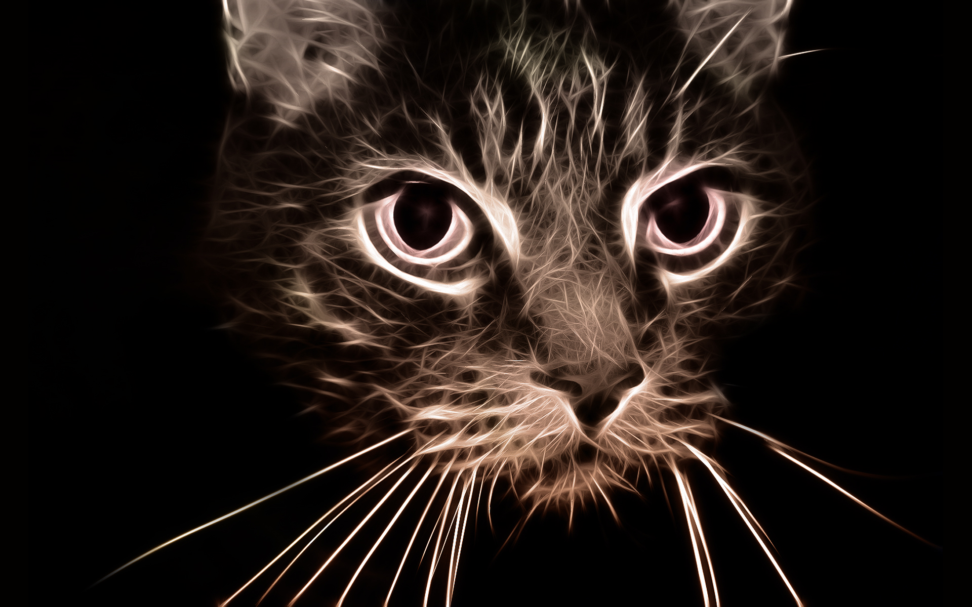 cats, Fractalius - desktop wallpaper