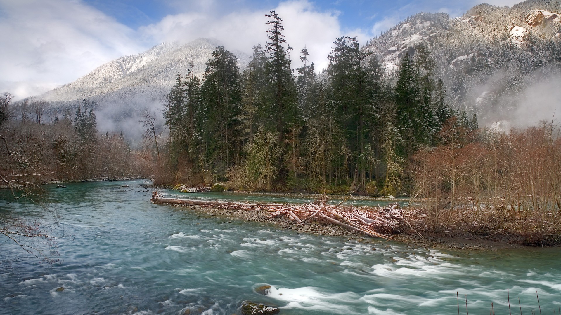 trees, mist, rivers, National Park, Washington - desktop wallpaper