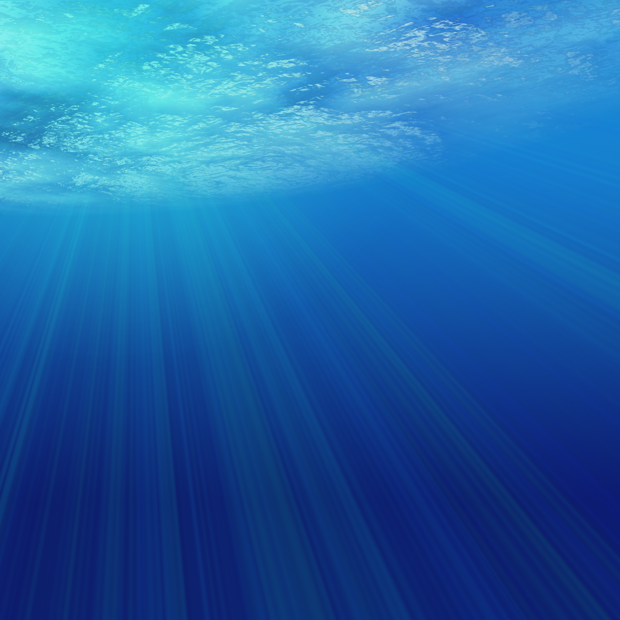 ocean, underwater - desktop wallpaper