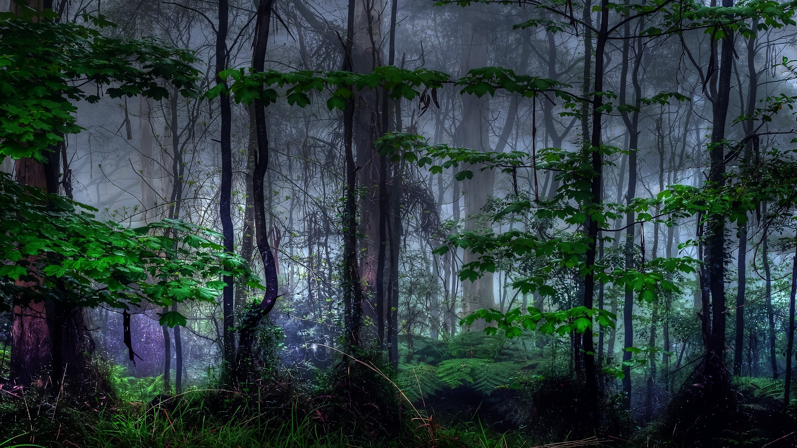 nature, trees, dark, forests, mist - desktop wallpaper