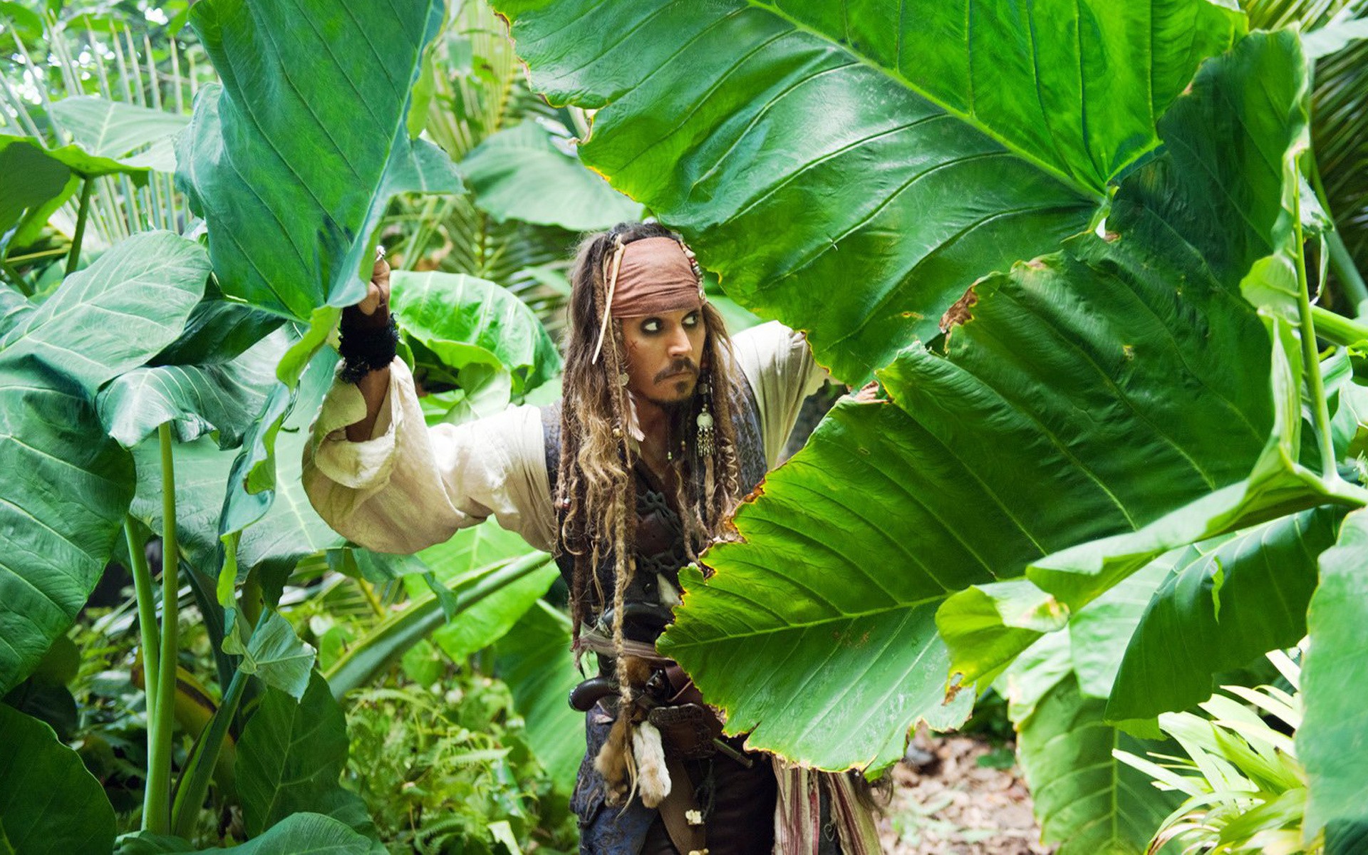 men, plants, Pirates of the Caribbean, Johnny Depp - desktop wallpaper
