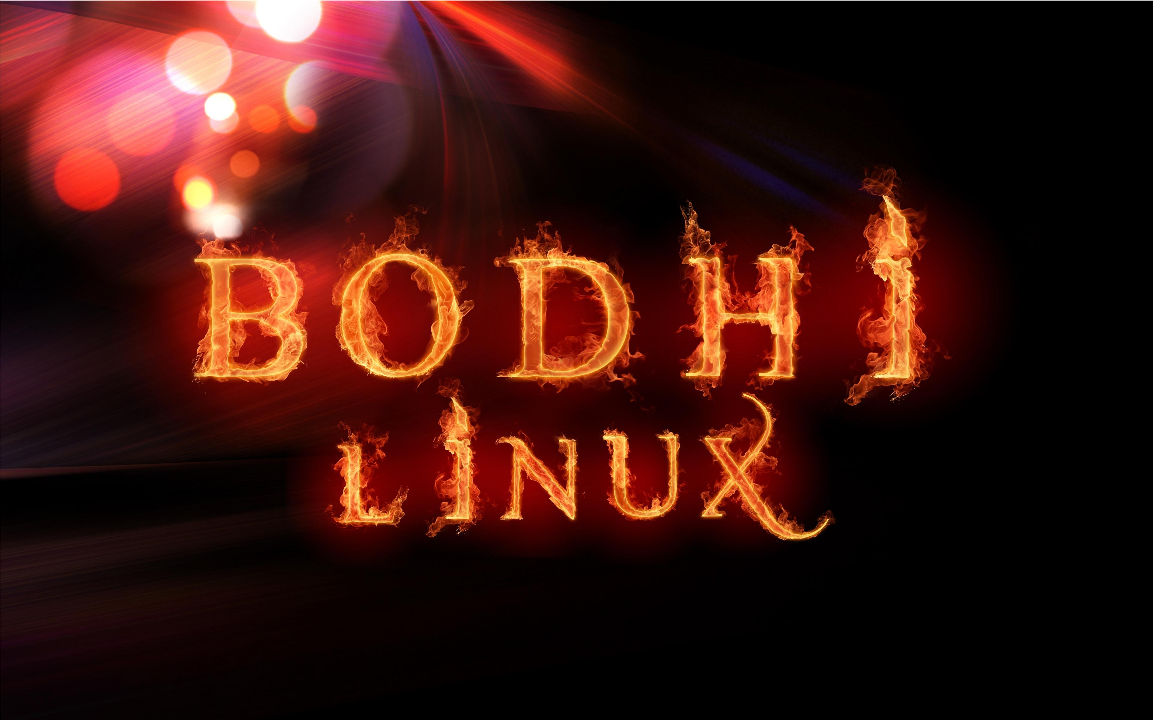 flames, Linux, Bodhi Linux - desktop wallpaper
