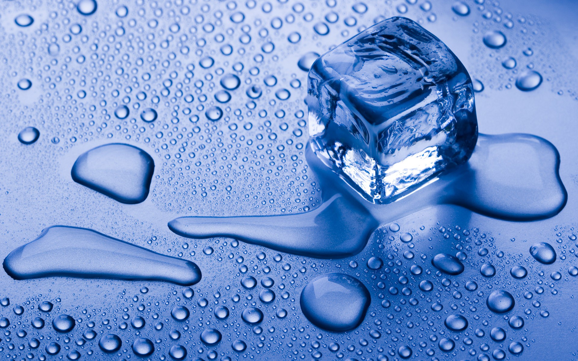 water, ice, wet, melting, water drops, condensation, ice cubes - desktop wallpaper