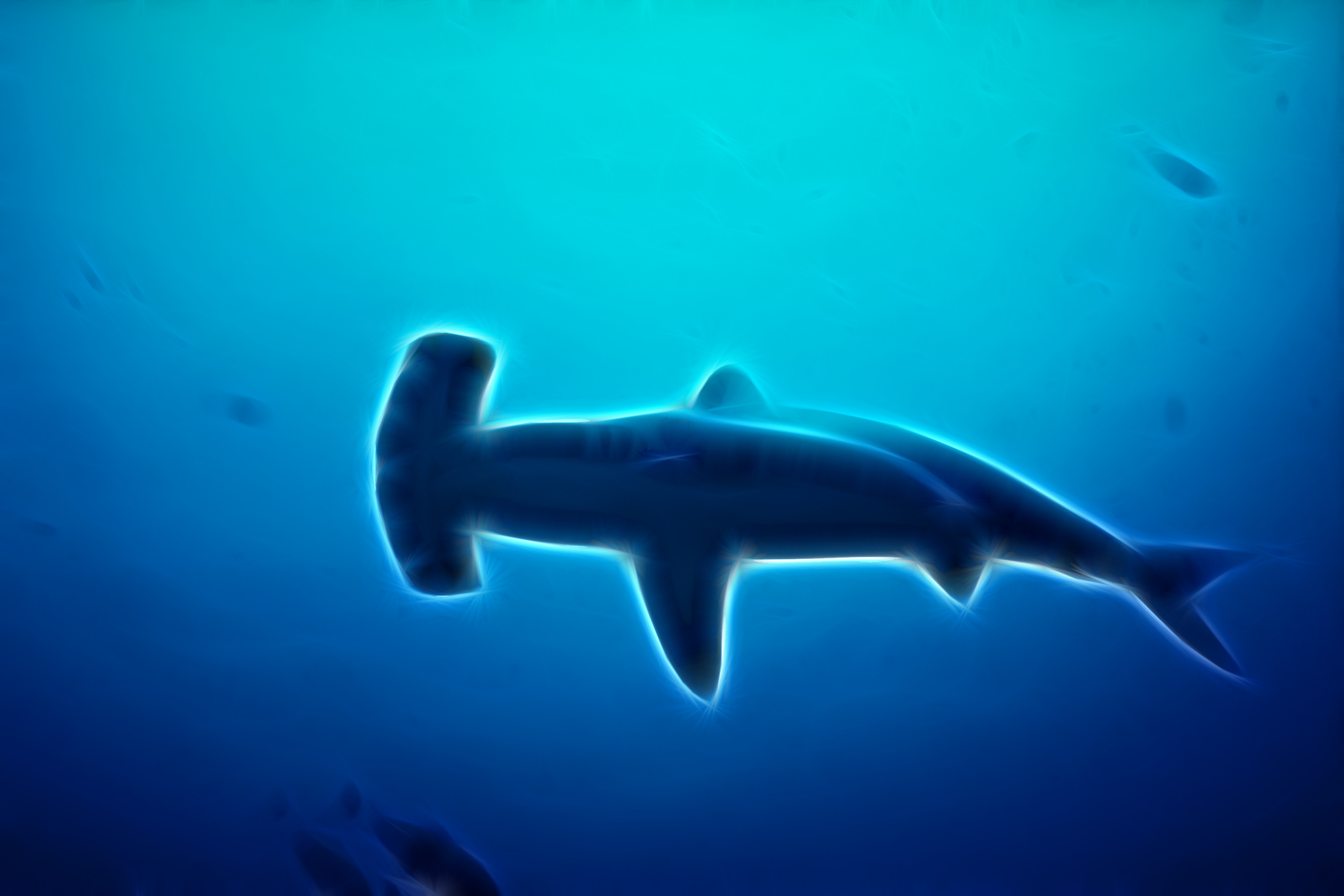 Fractalius, sharks - desktop wallpaper
