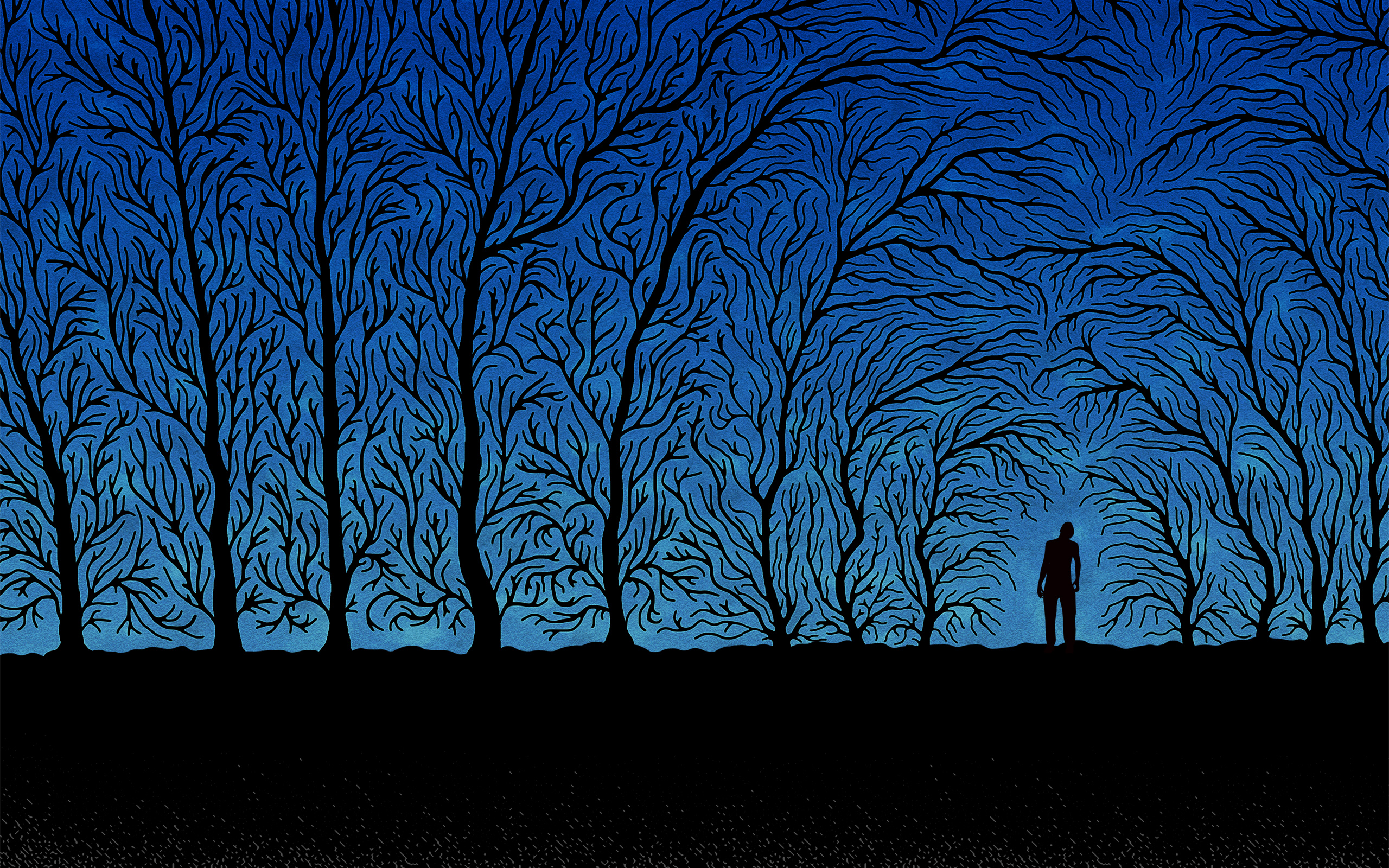 creepy, abstract, trees, night, forests, silhouettes, shadows, haunted, dusk - desktop wallpaper