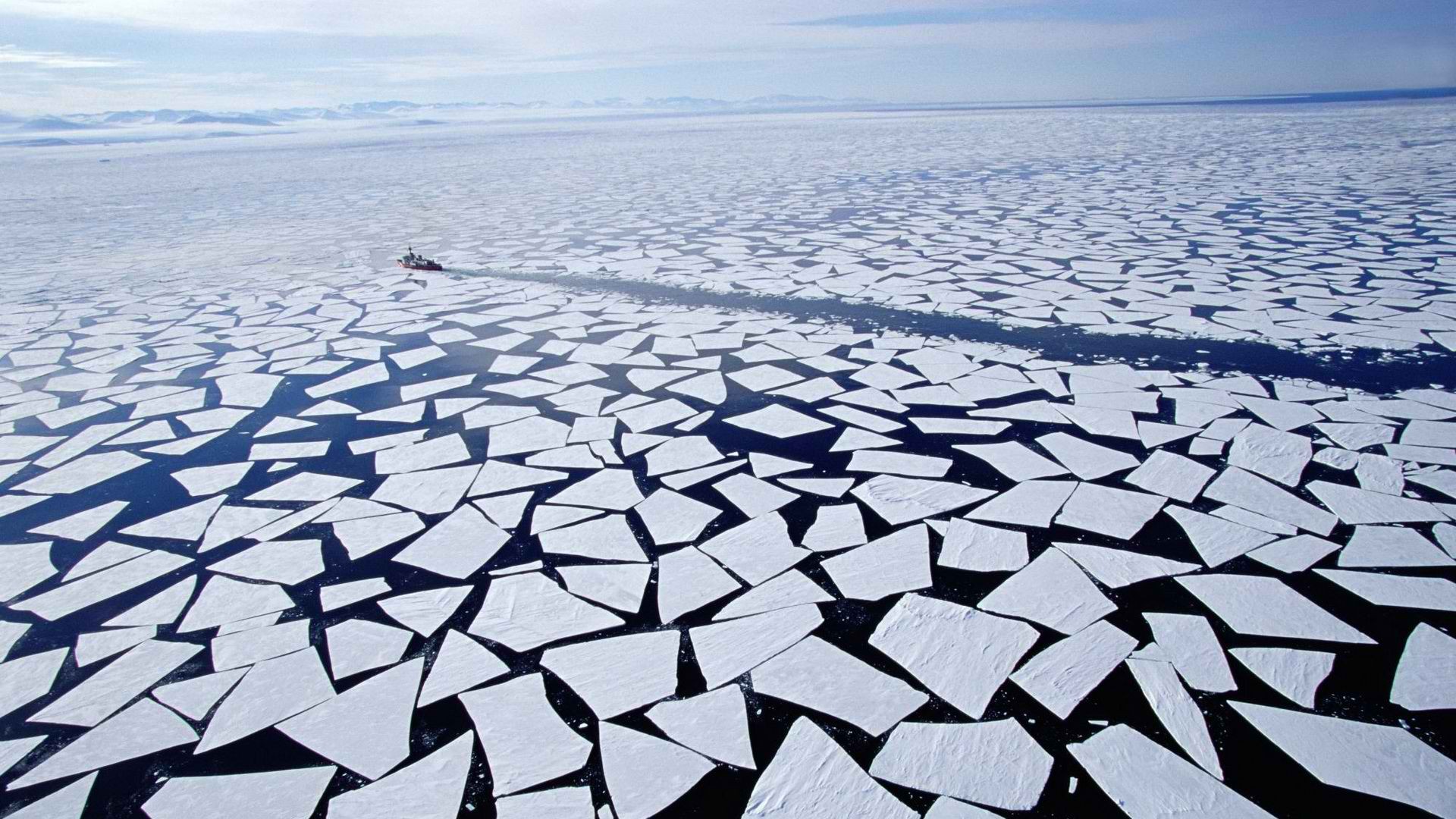 ice, arctic - desktop wallpaper