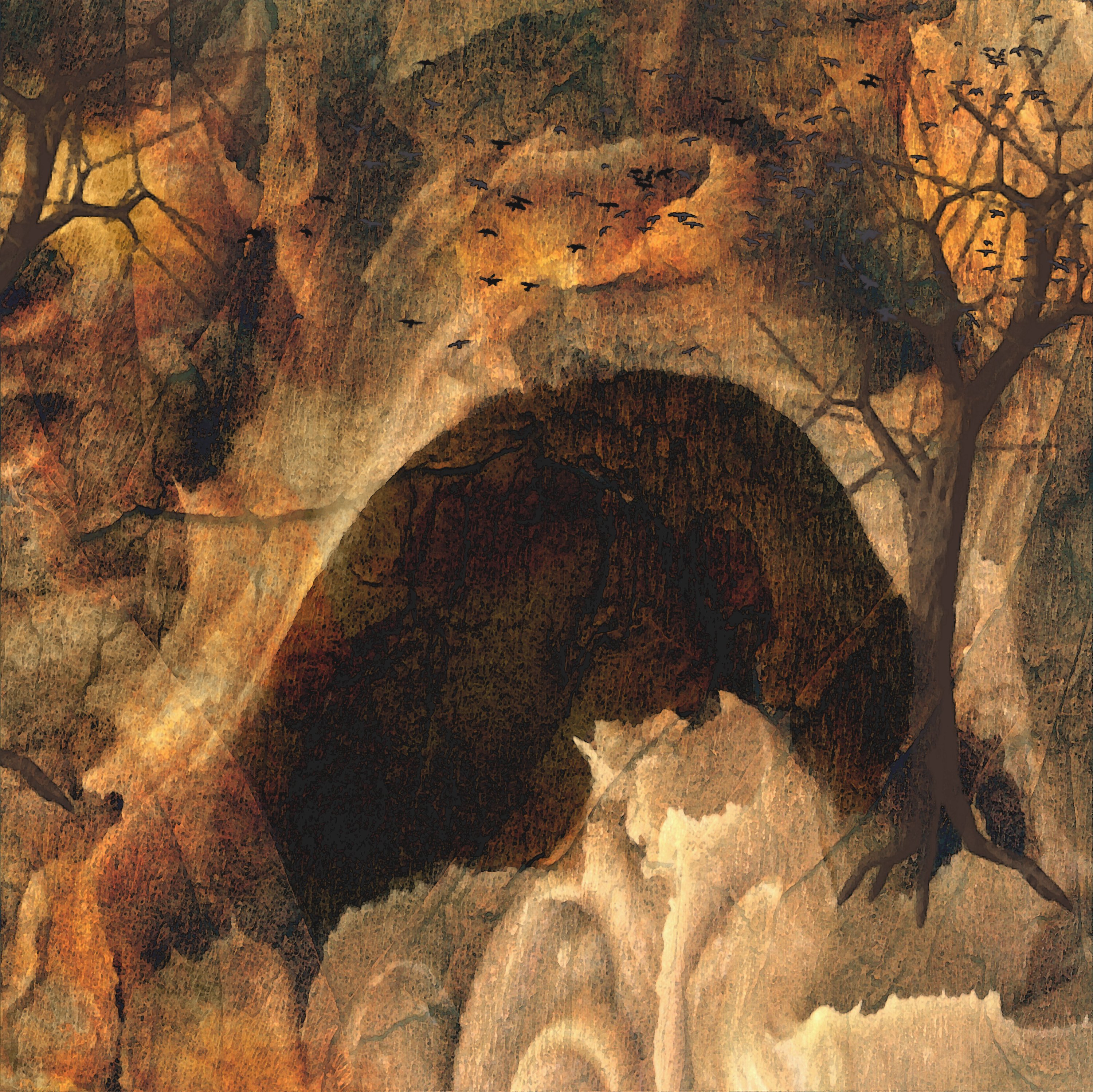 paintings, caves, bats - desktop wallpaper