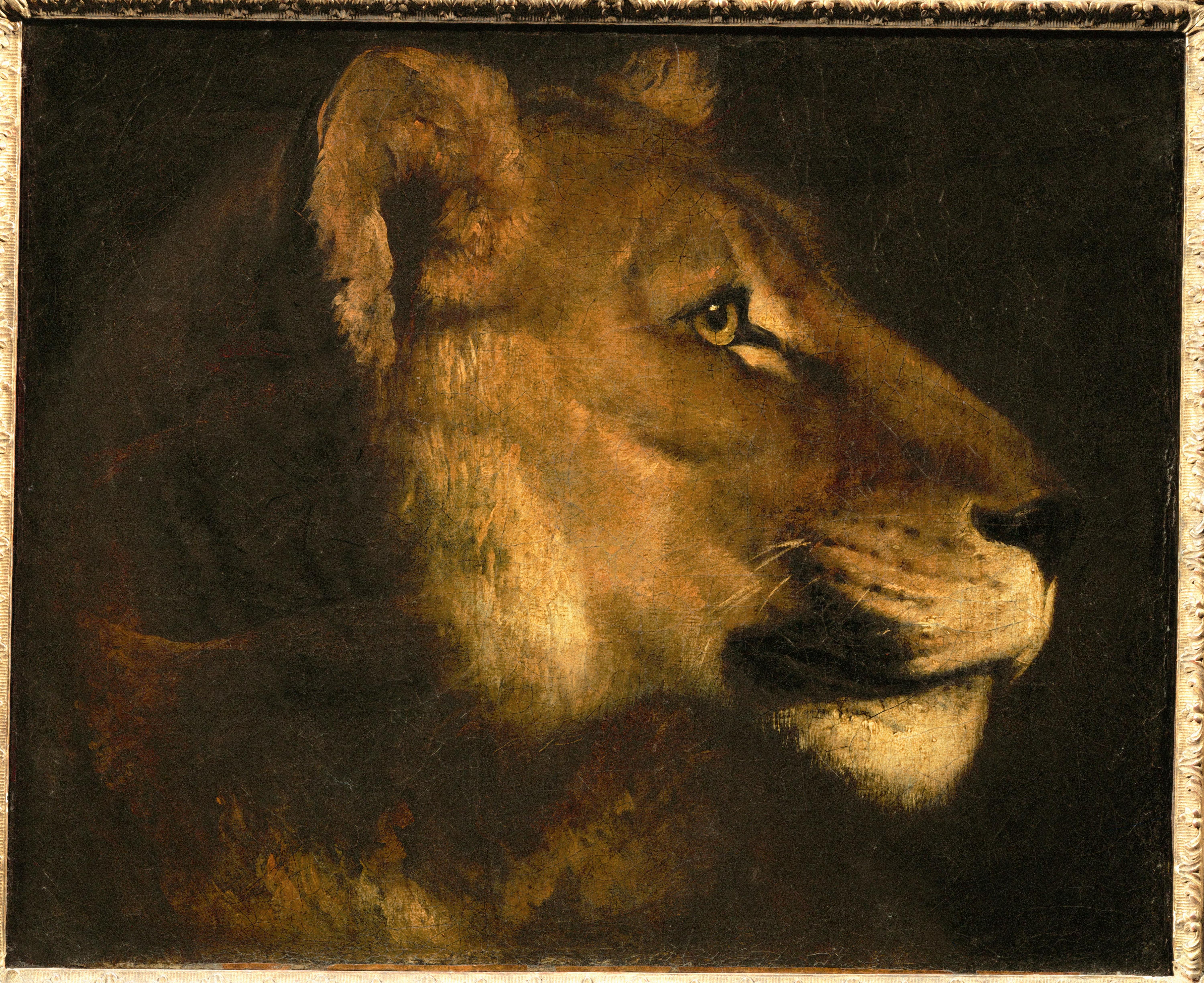 paintings, animals, lions, Theodore Gericault - desktop wallpaper