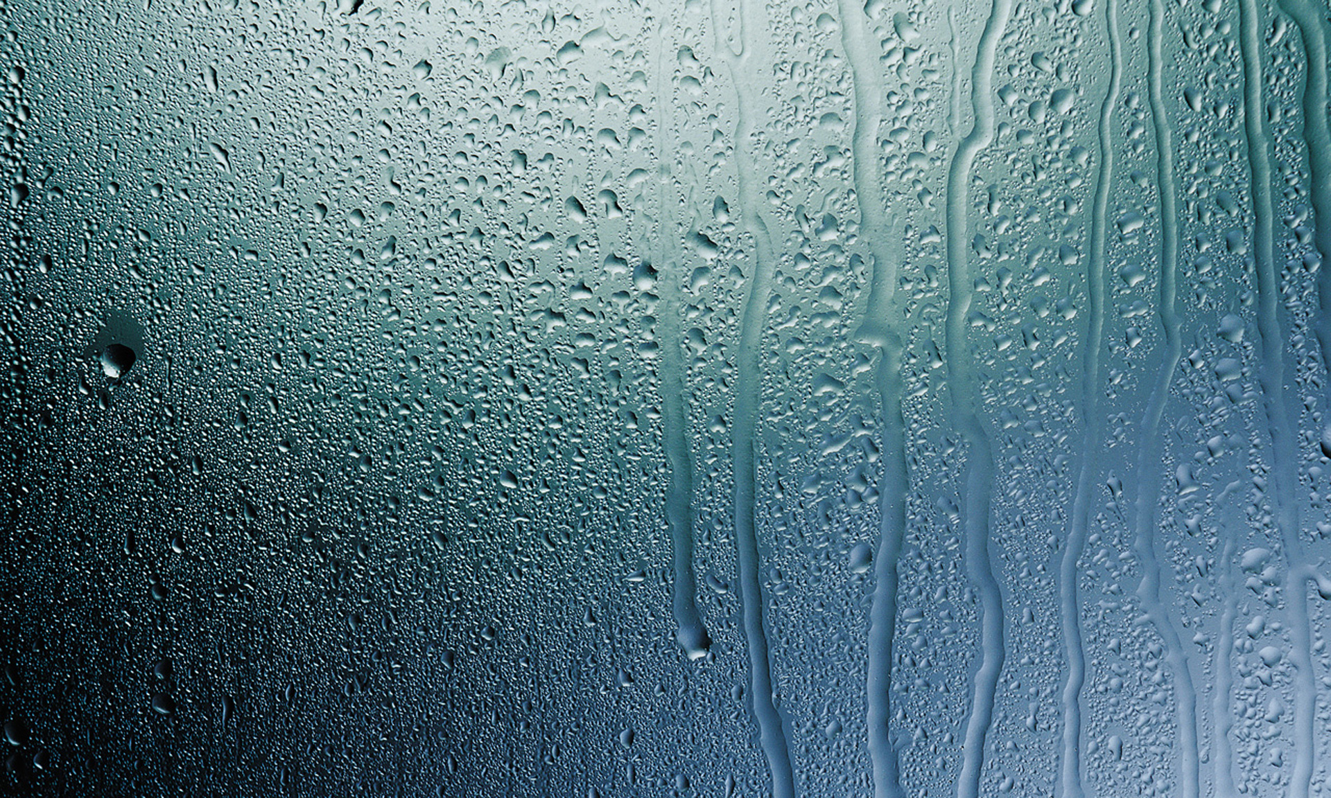condensation - desktop wallpaper