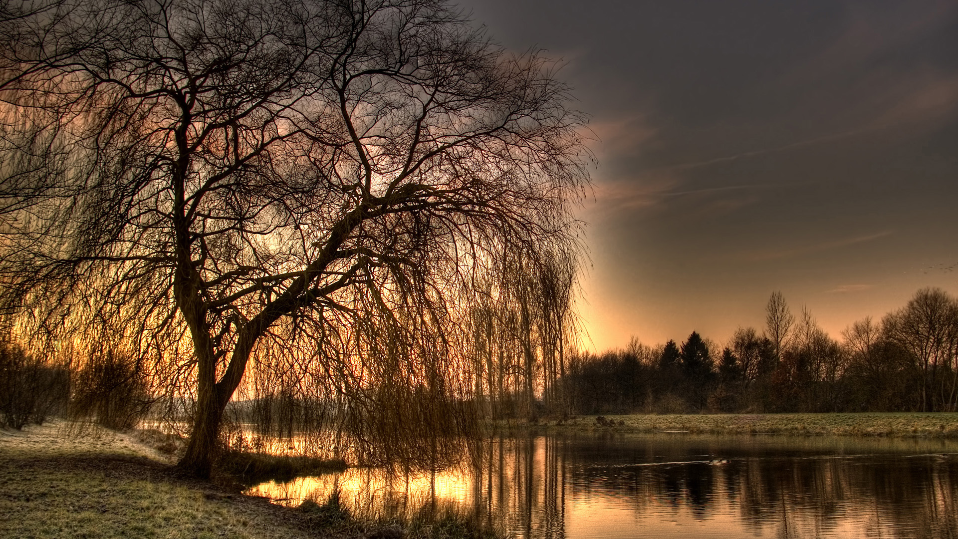 sunset, landscapes, nature, trees, artistic, reflections - desktop wallpaper