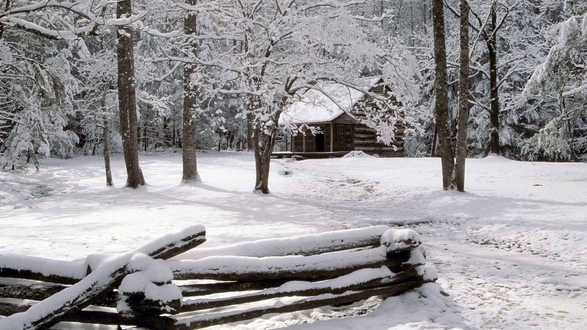 mountains, winter, snow, Tennessee, cabin, National Park - desktop wallpaper