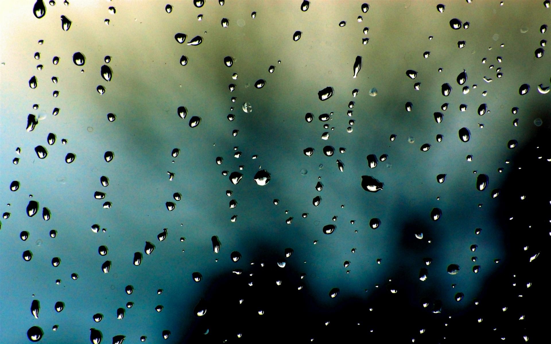 nature, rain, condensation, rain on glass - desktop wallpaper