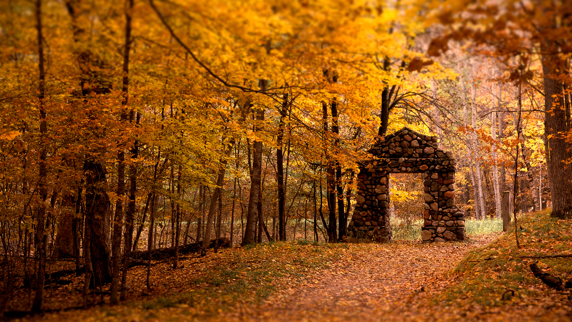 landscapes, nature, trees, autumn, yellow, forests, fields, stones, gate, trail - desktop wallpaper