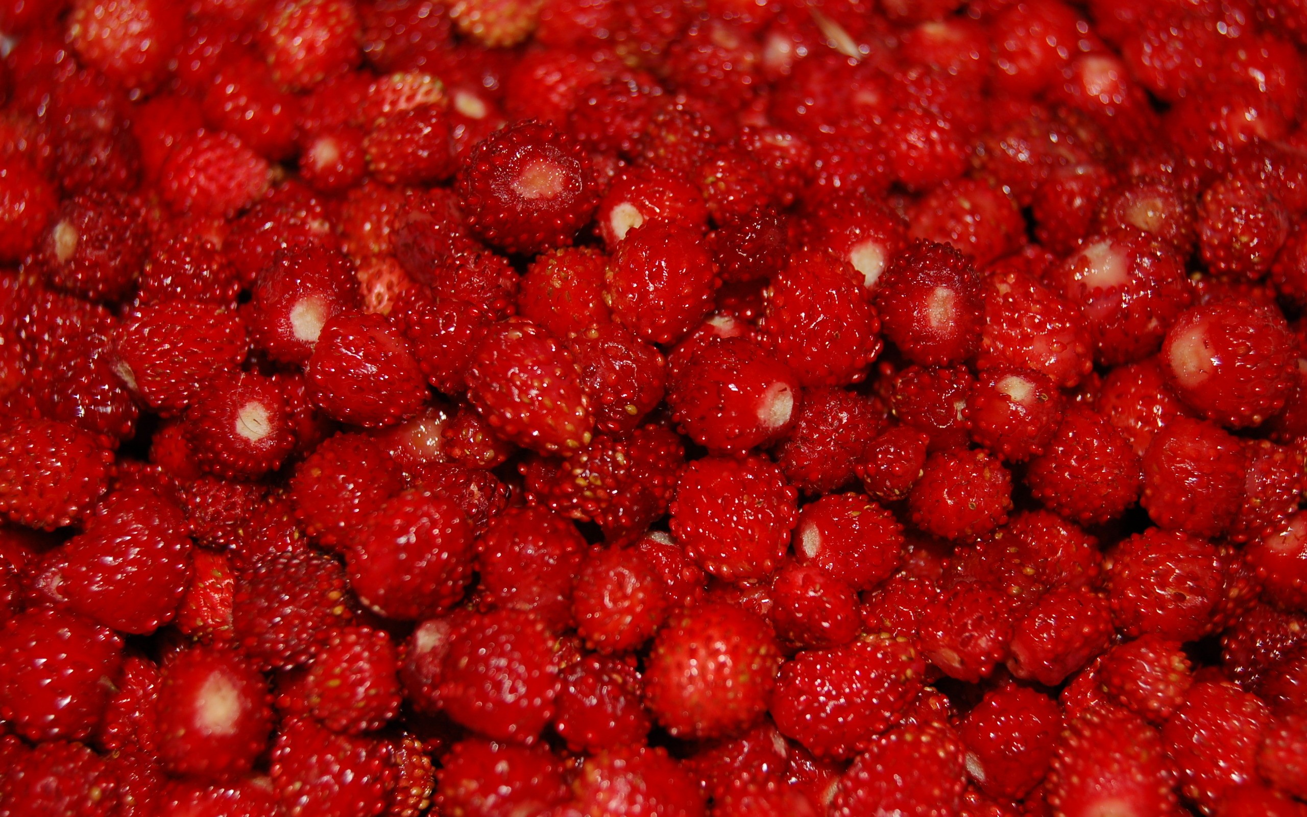fruits, food, strawberries - desktop wallpaper