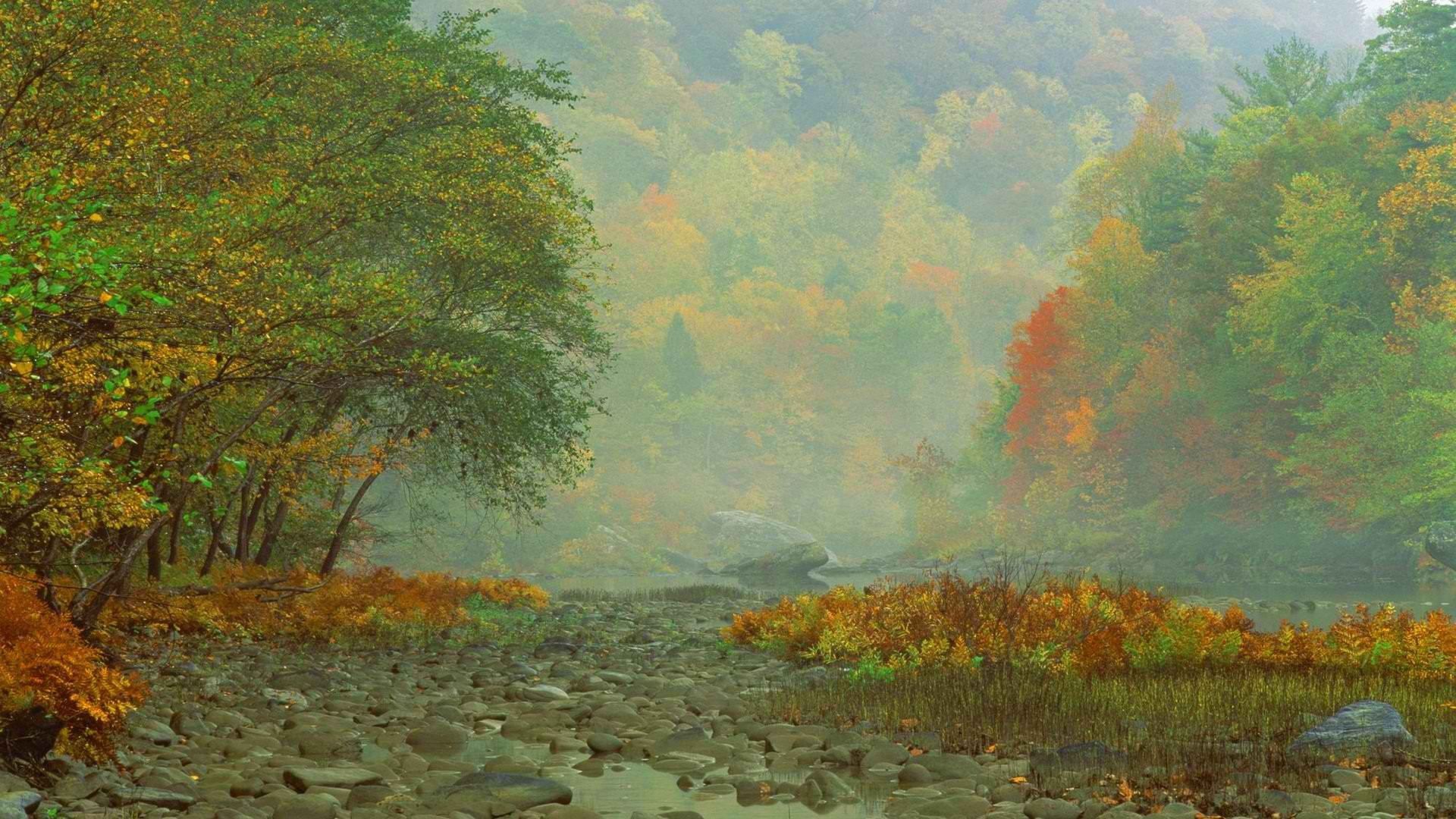 sunrise, mist, Tennessee, morning, rivers - desktop wallpaper