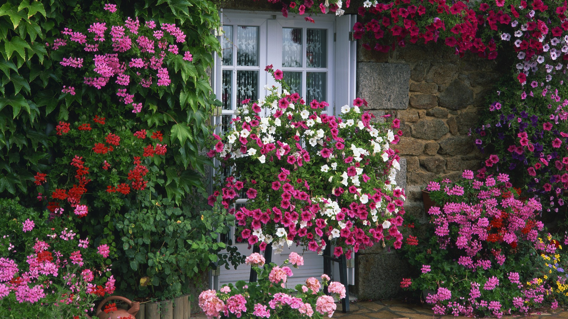garden, summer, France, farmhouse - desktop wallpaper