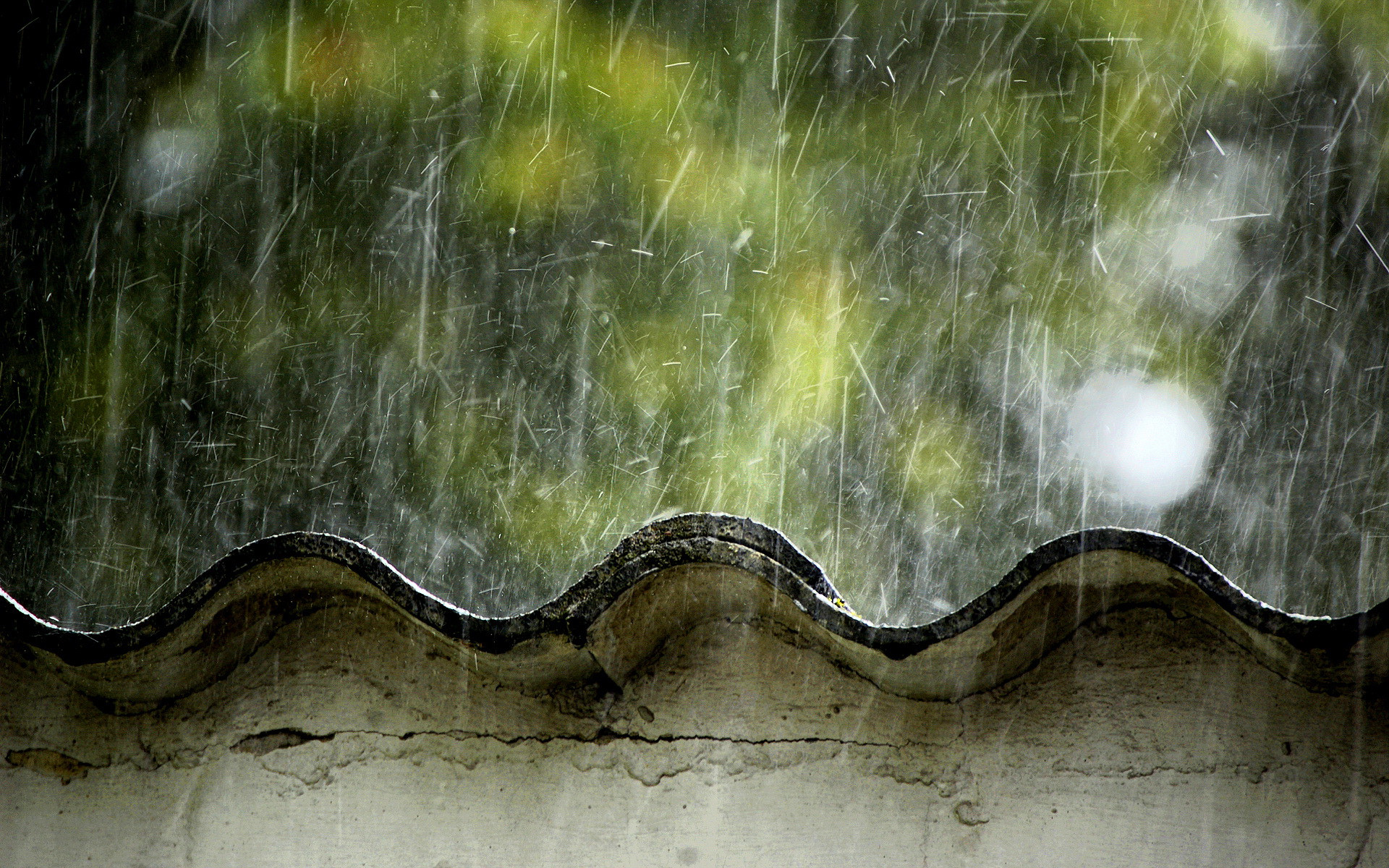 nature, rain - desktop wallpaper