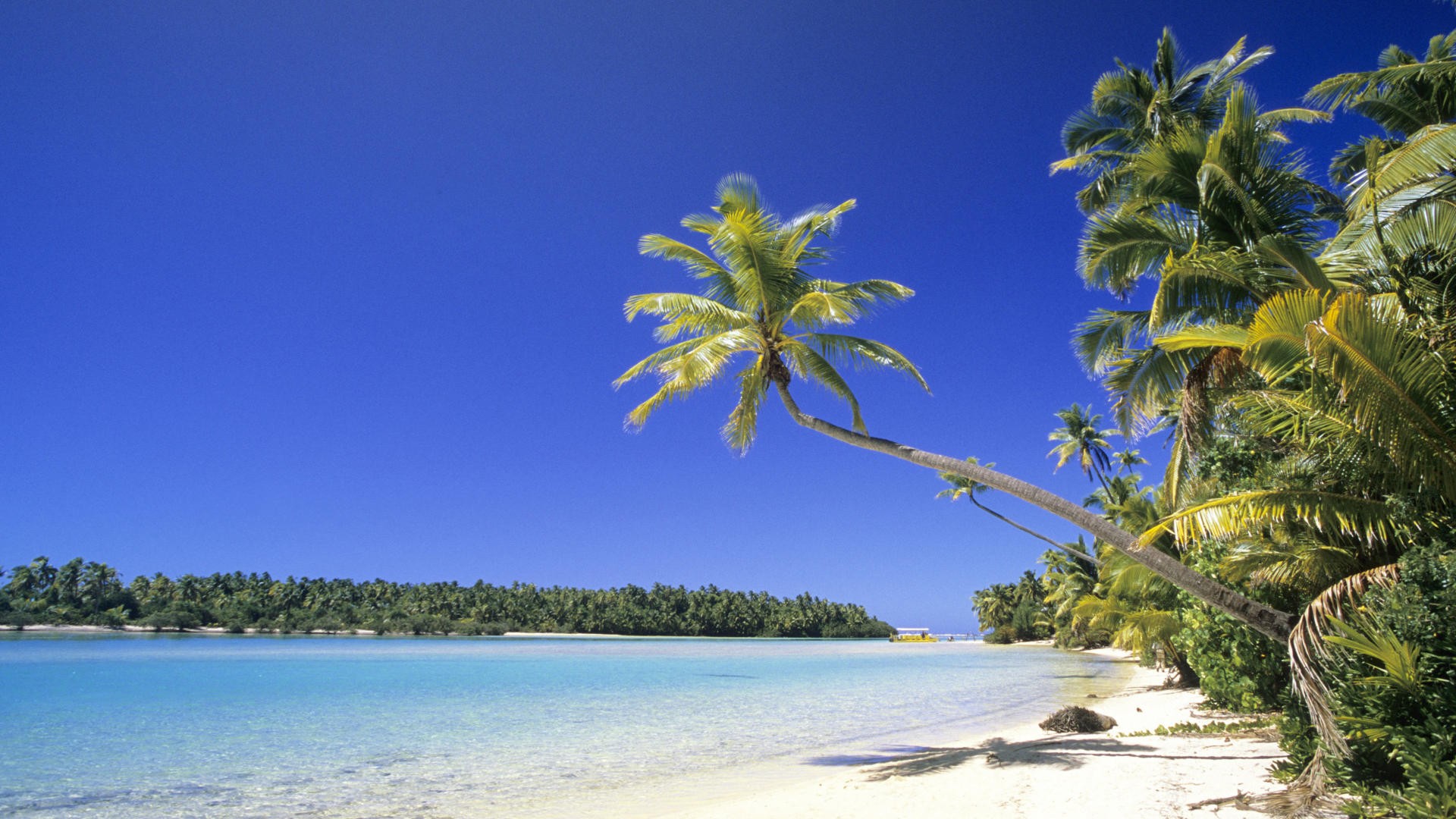 Sun, sand, Cook Islands, palm trees - desktop wallpaper