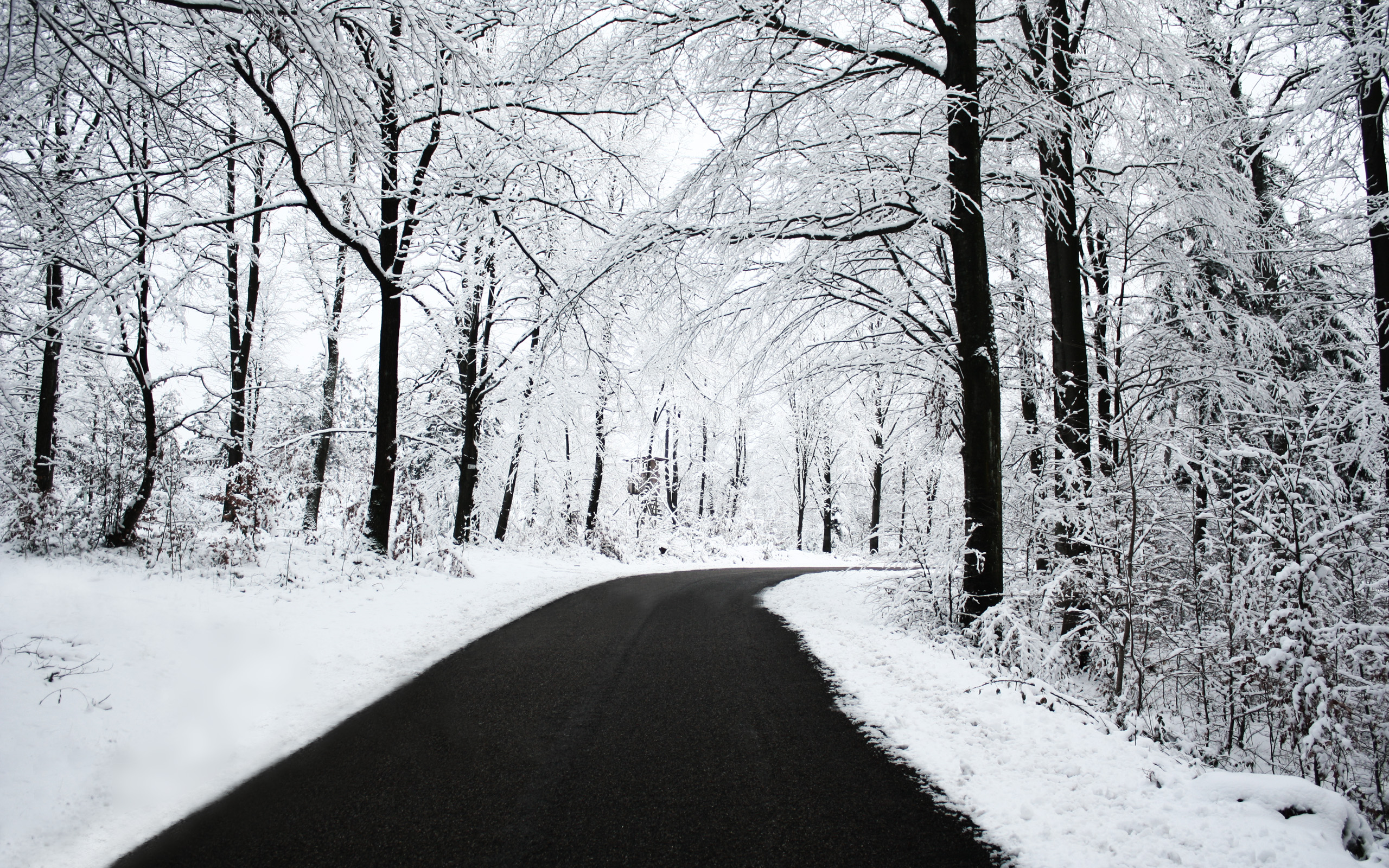 nature, winter, snow, trees, roads - desktop wallpaper