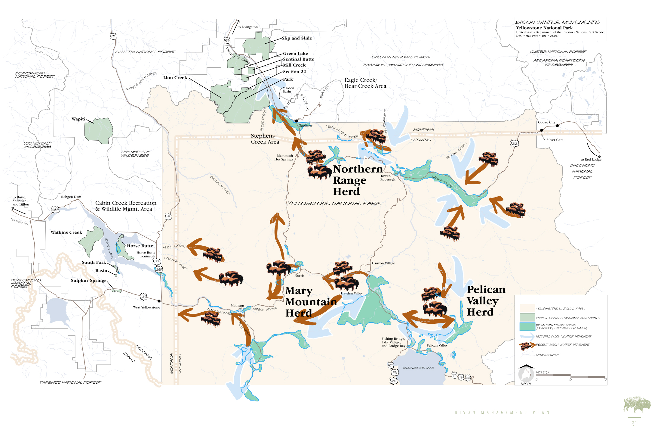 buffalo, maps, infographics, Native Americans, migration - desktop wallpaper