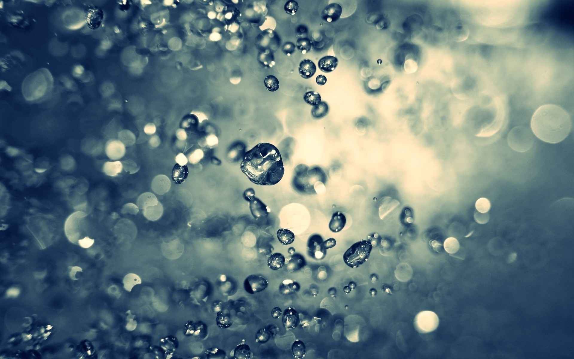 water drops, macro, depth of field - desktop wallpaper