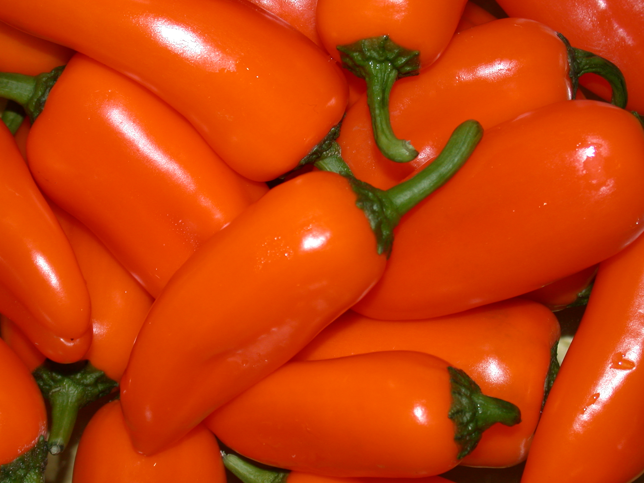 food, peppers - desktop wallpaper