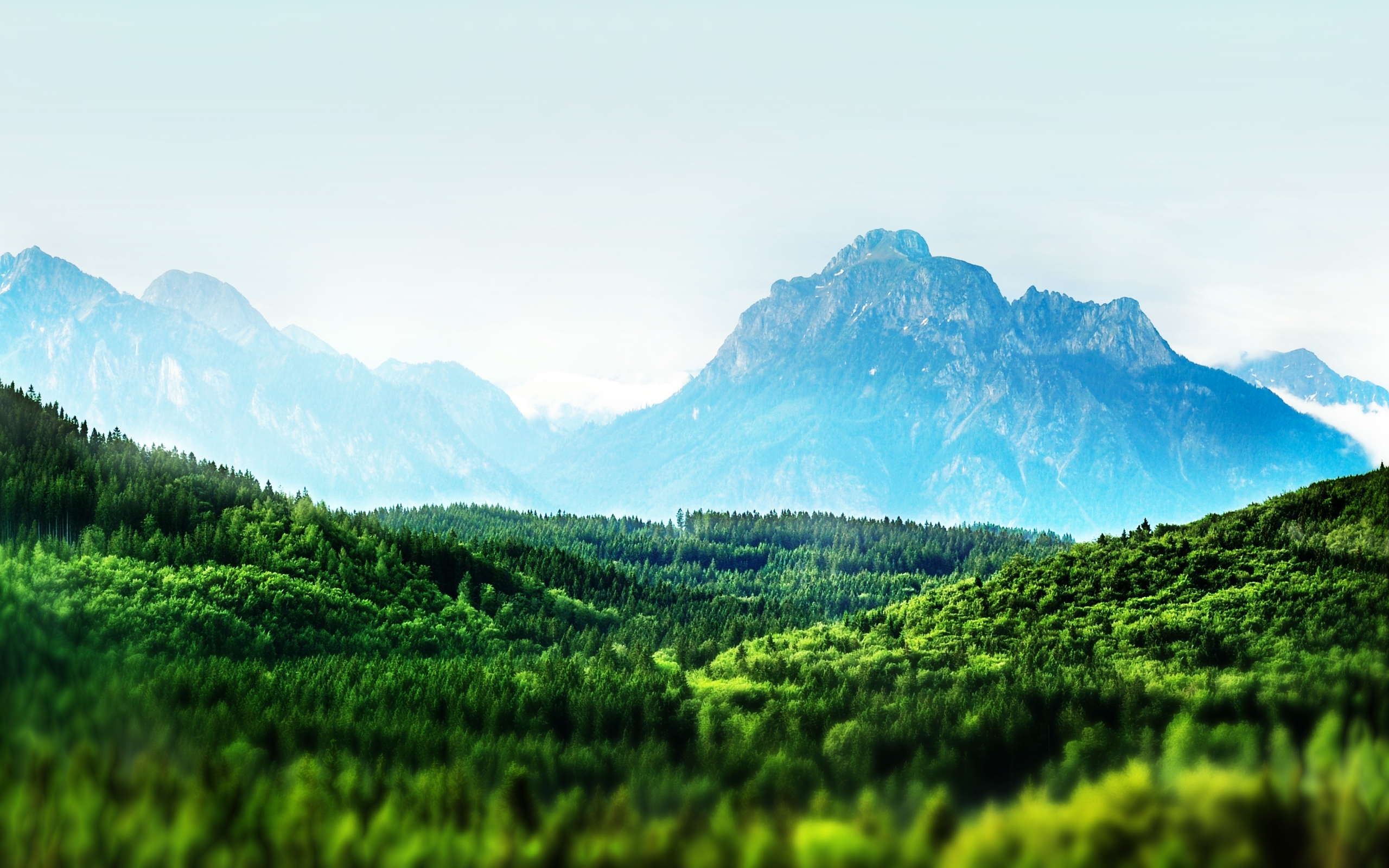 mountains, landscapes, forests, mist, Bavaria, tilt-shift - desktop wallpaper