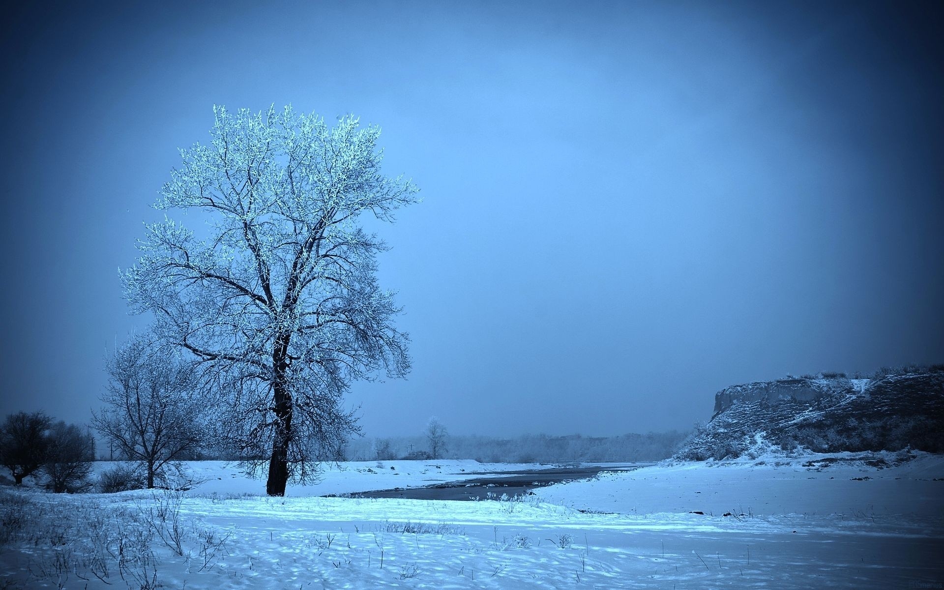 ice, winter, snow, trees, paths, frozen, outdoors - desktop wallpaper