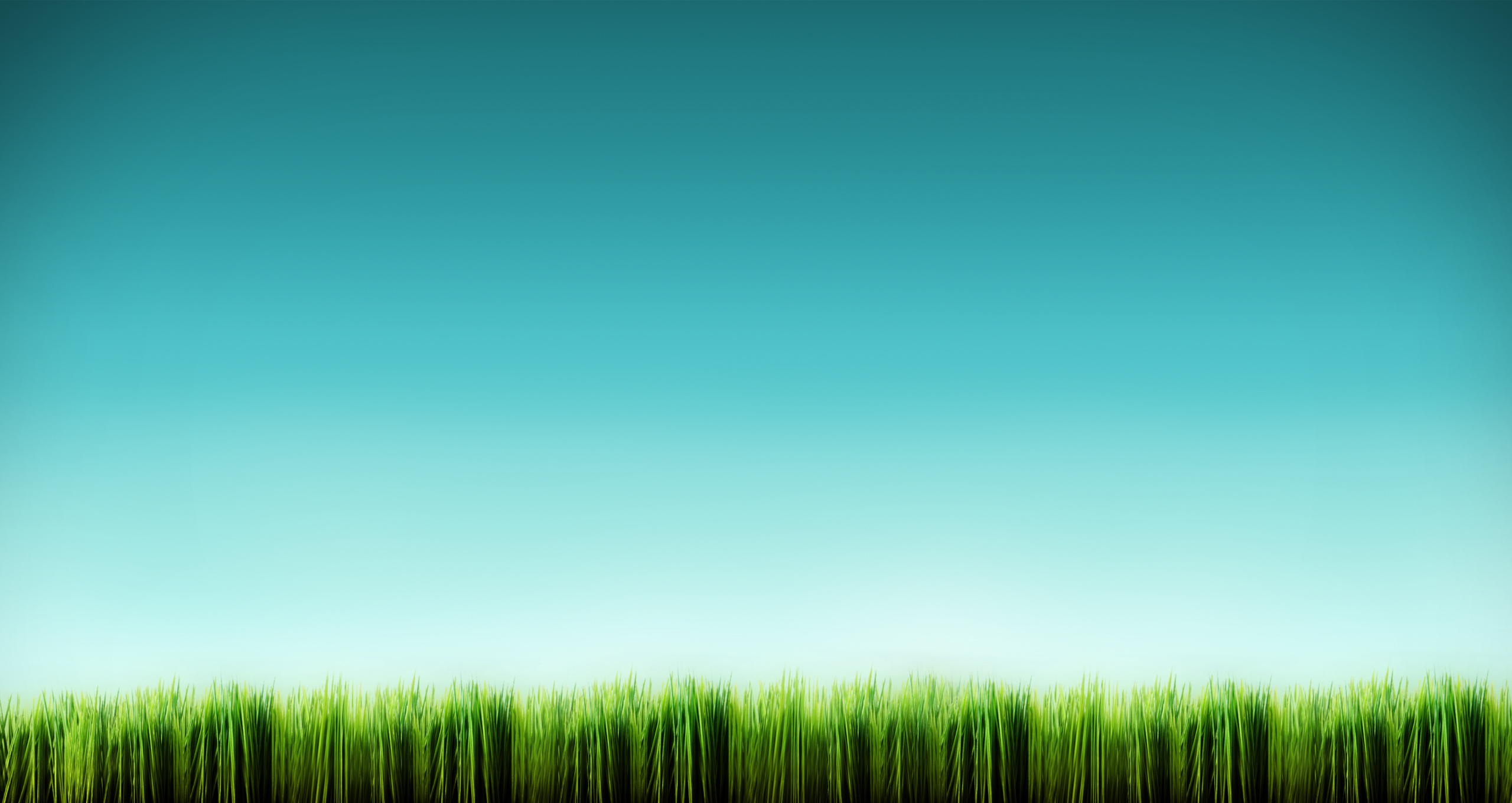 green, blue, nature, grass - desktop wallpaper
