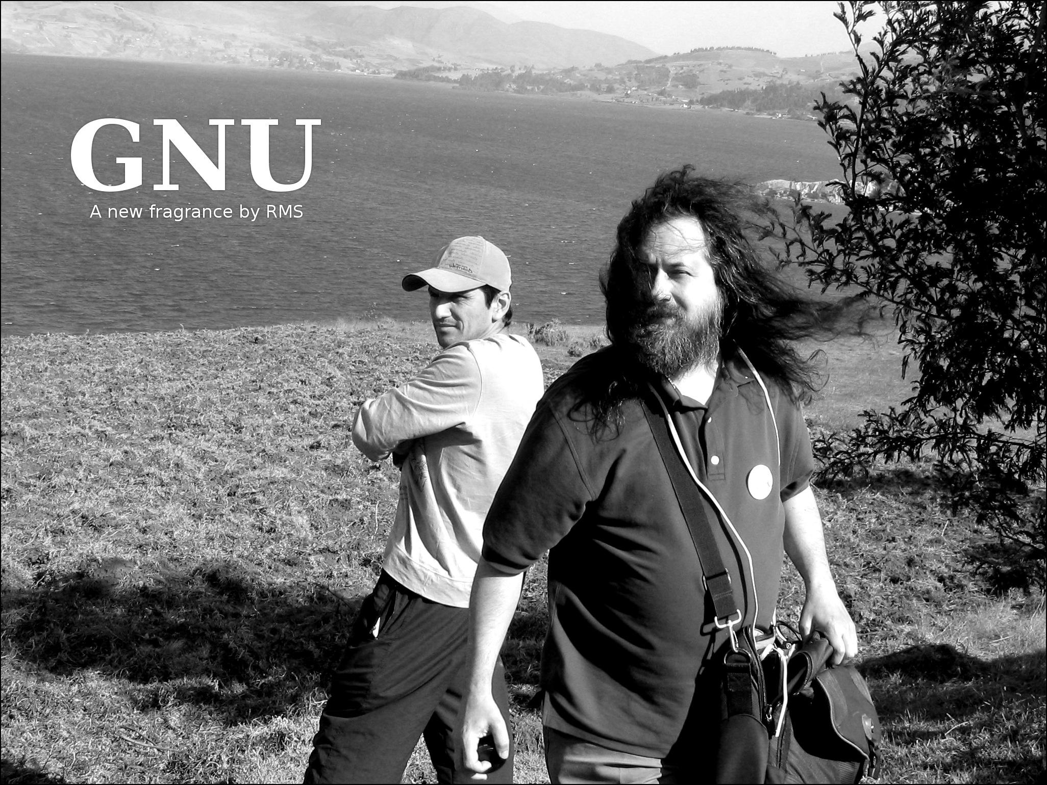 Linux, gnu, Richard Stallman - desktop wallpaper