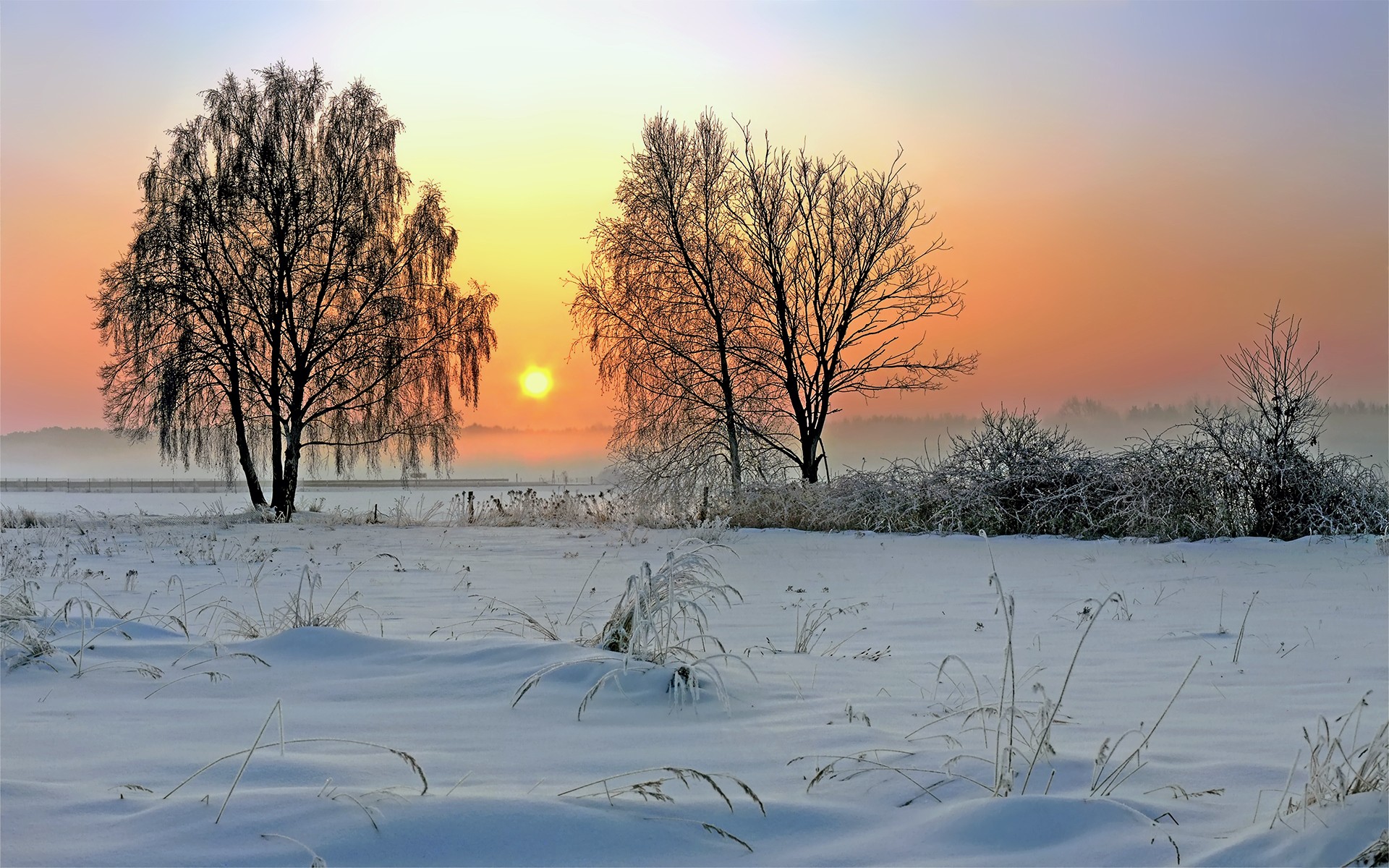 landscapes, winter, snow - desktop wallpaper