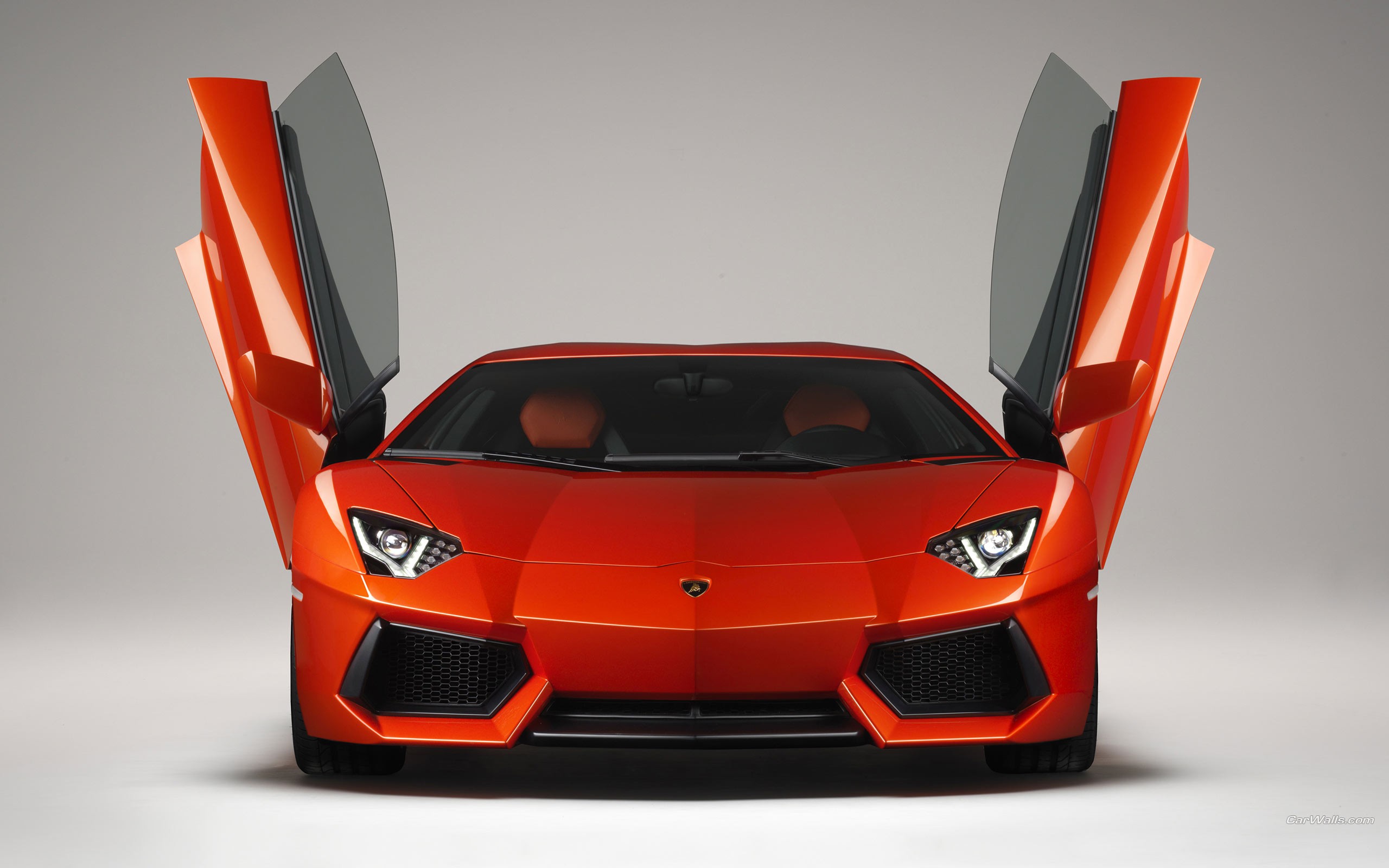 cars, Lamborghini, Lamborghini Aventador - desktop wallpaper