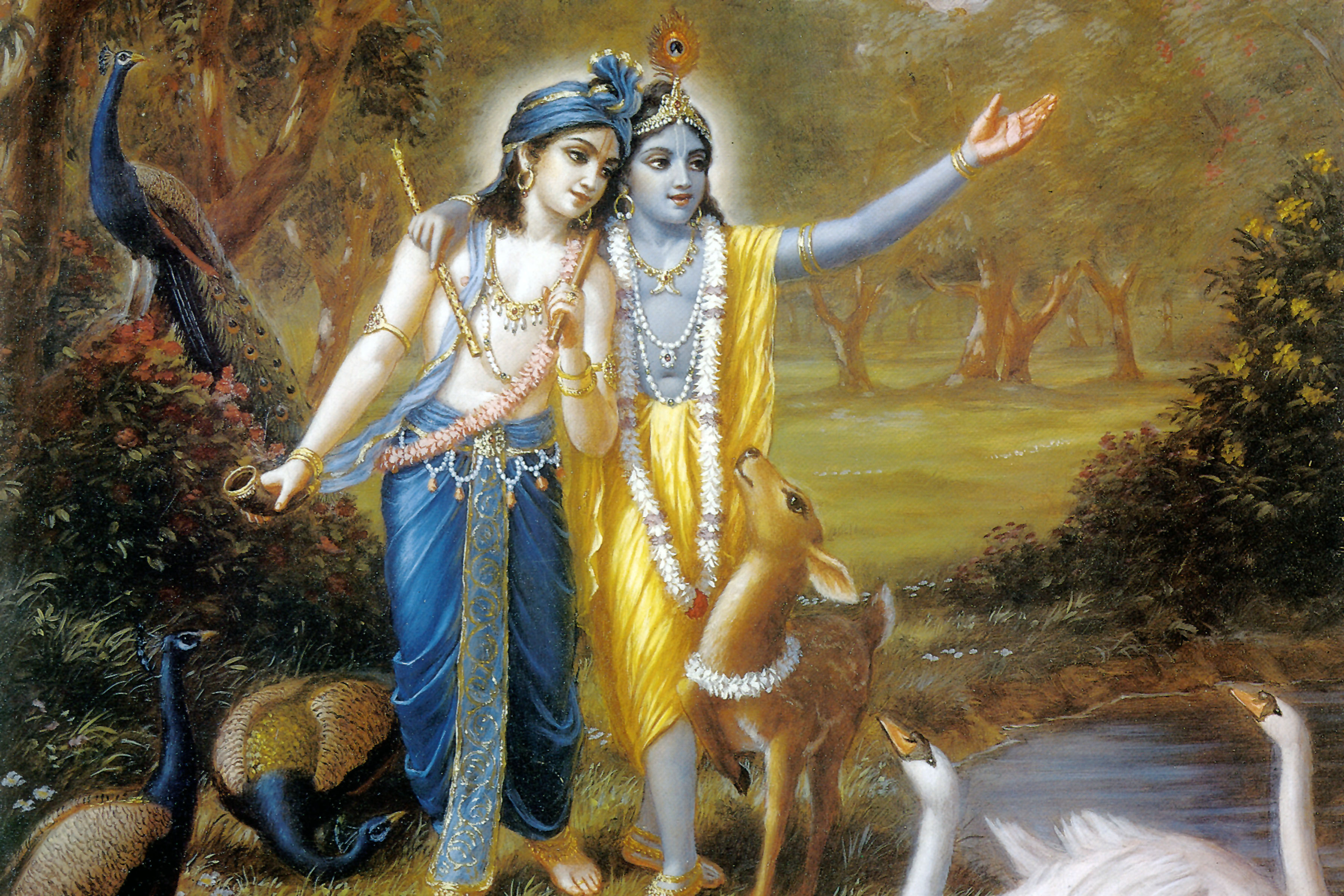 Krishna - desktop wallpaper