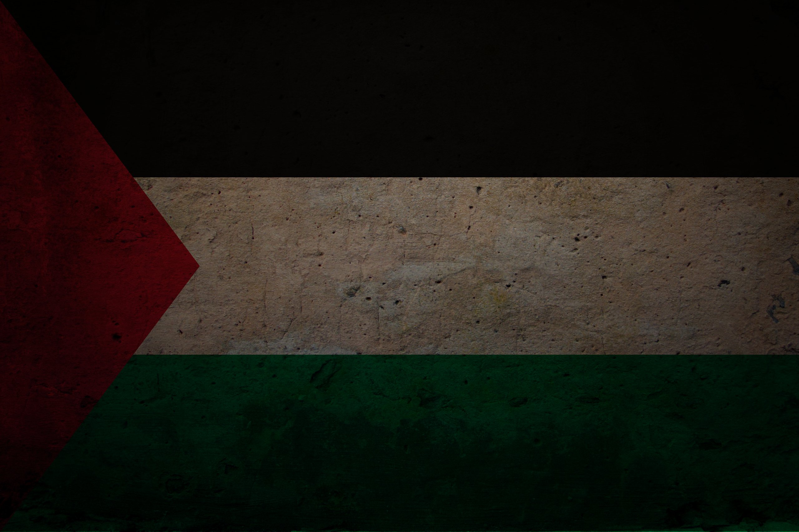 Palestine Flag - desktop wallpaper