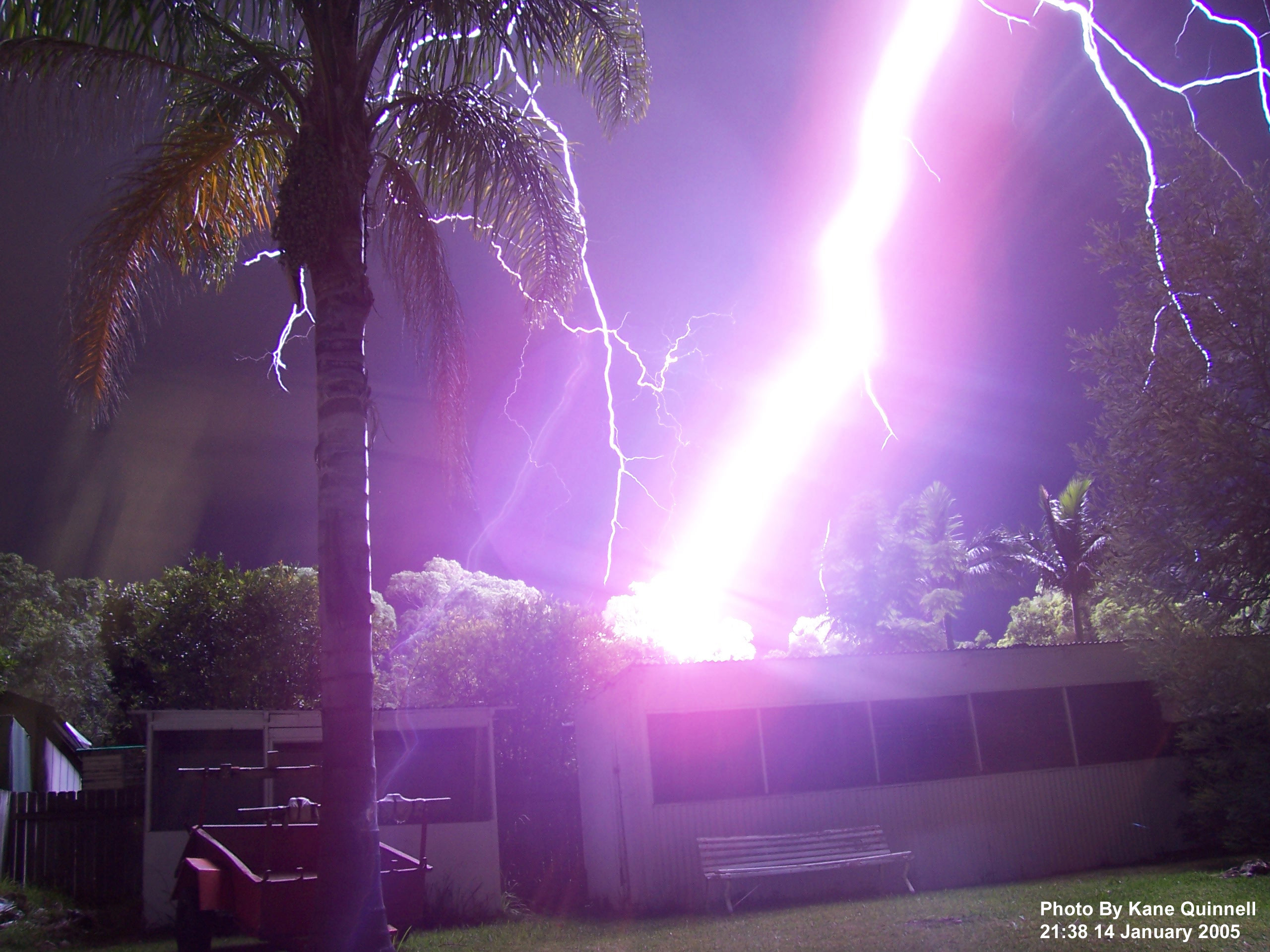 palm trees, lightning - desktop wallpaper