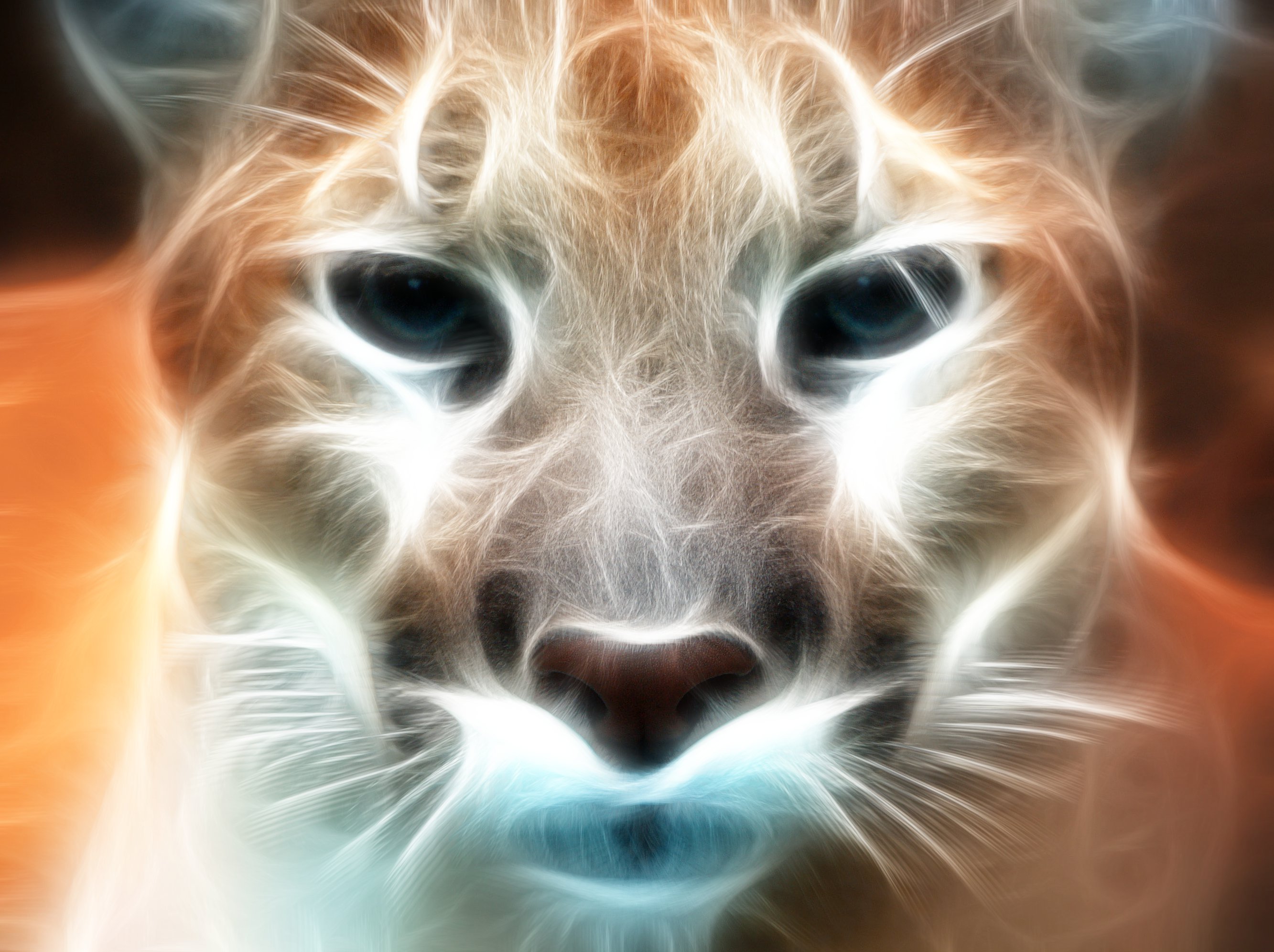 close-up, animals, Fractalius, puma - desktop wallpaper