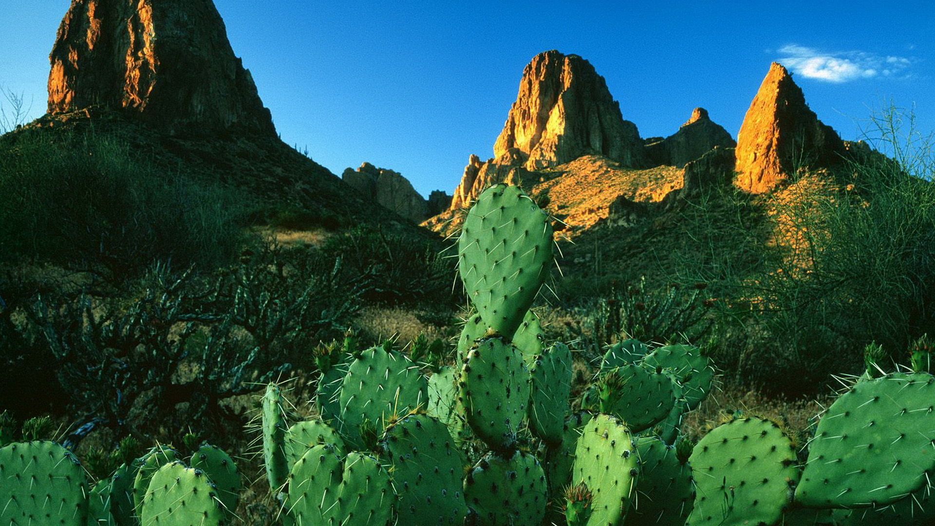 mountains, landscapes, rocks, cactus - desktop wallpaper