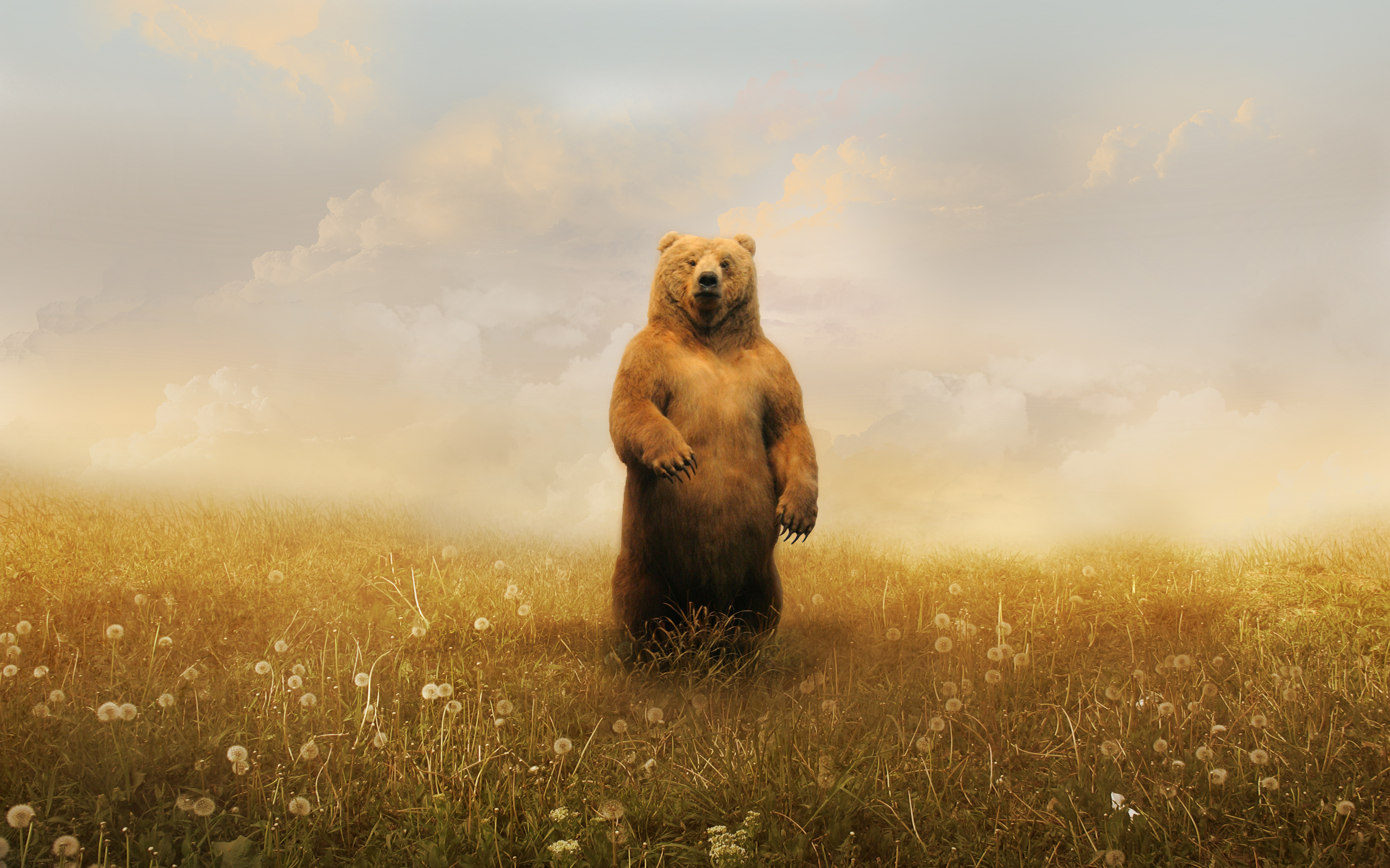 animals, artwork, bears - desktop wallpaper